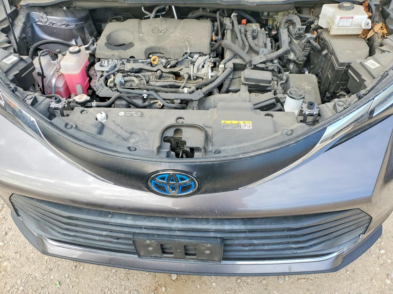 2021 TOYOTA SIENNA XLE photo 12