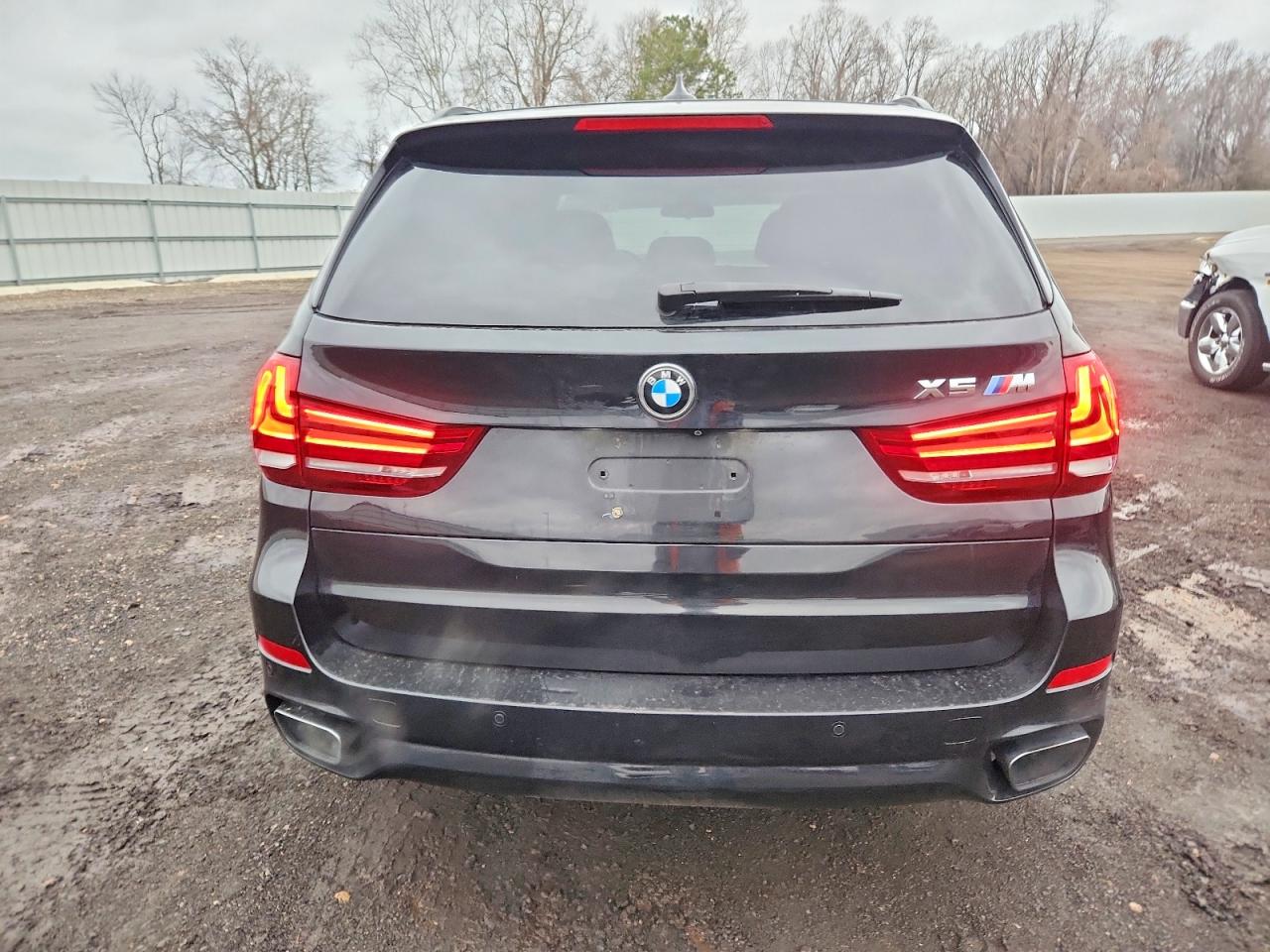 2017 BMW X5 XDRIVE50I photo 6