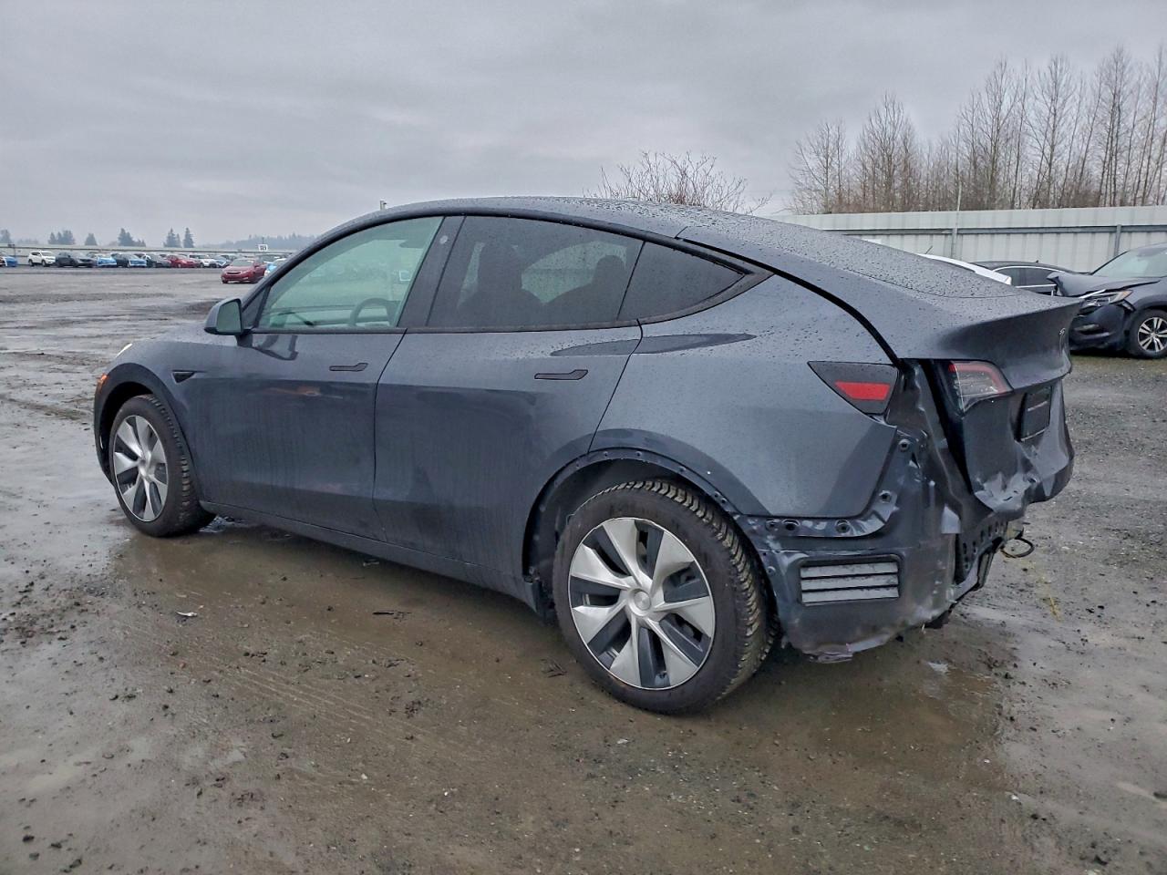 2021 TESLA MODEL Y photo 2