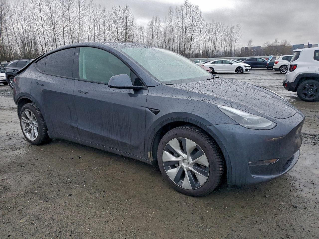 2021 TESLA MODEL Y photo 4