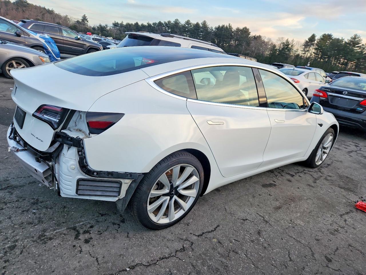 2019 TESLA MODEL 3 photo 5