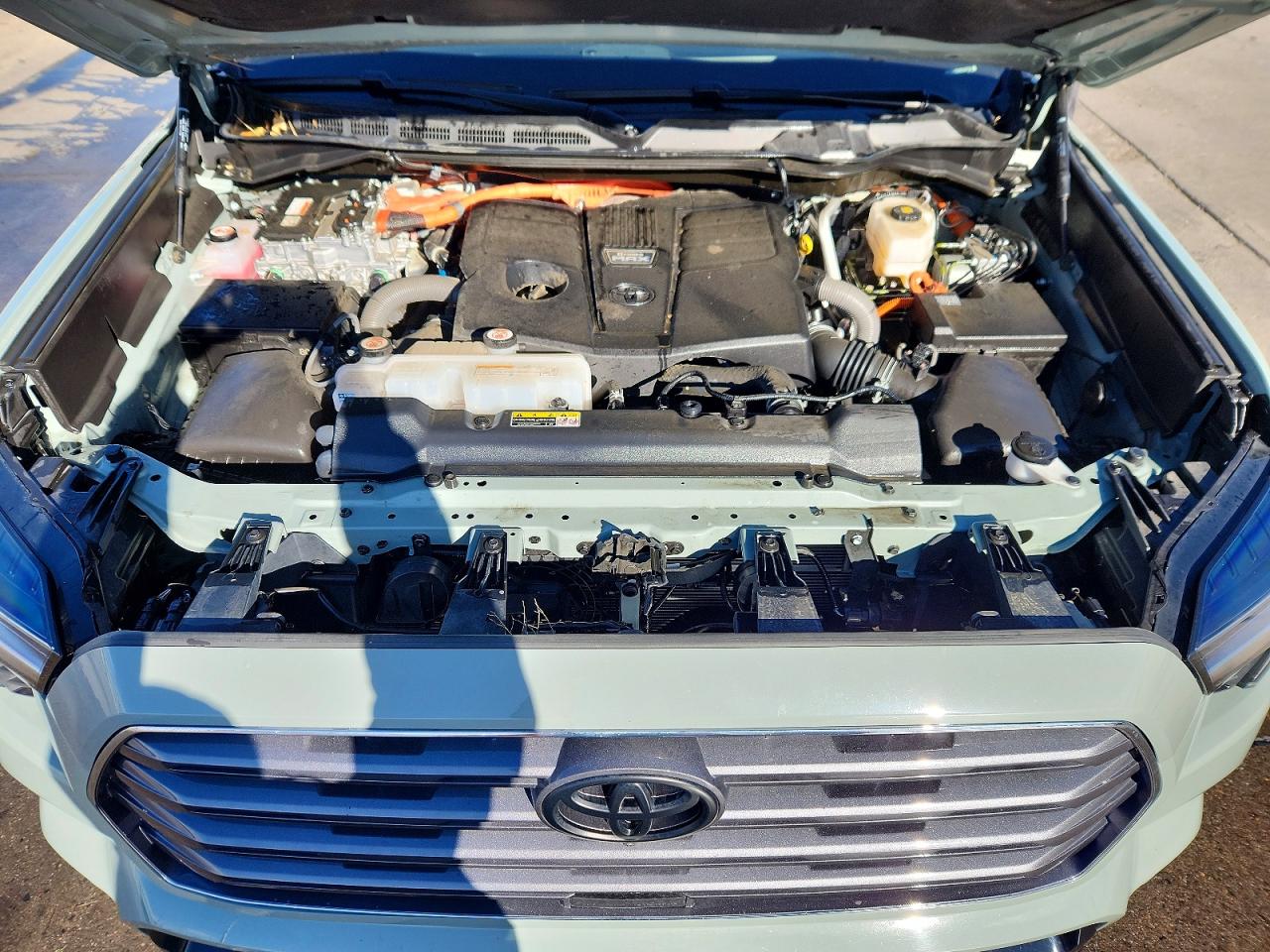 2024 TOYOTA SEQUOIA SR5 photo 12