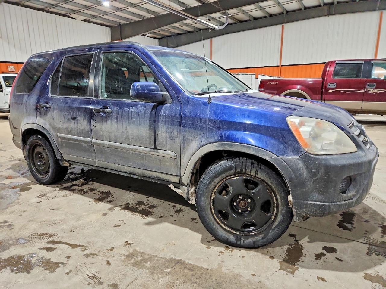 2005 HONDA CR-V EX photo 4