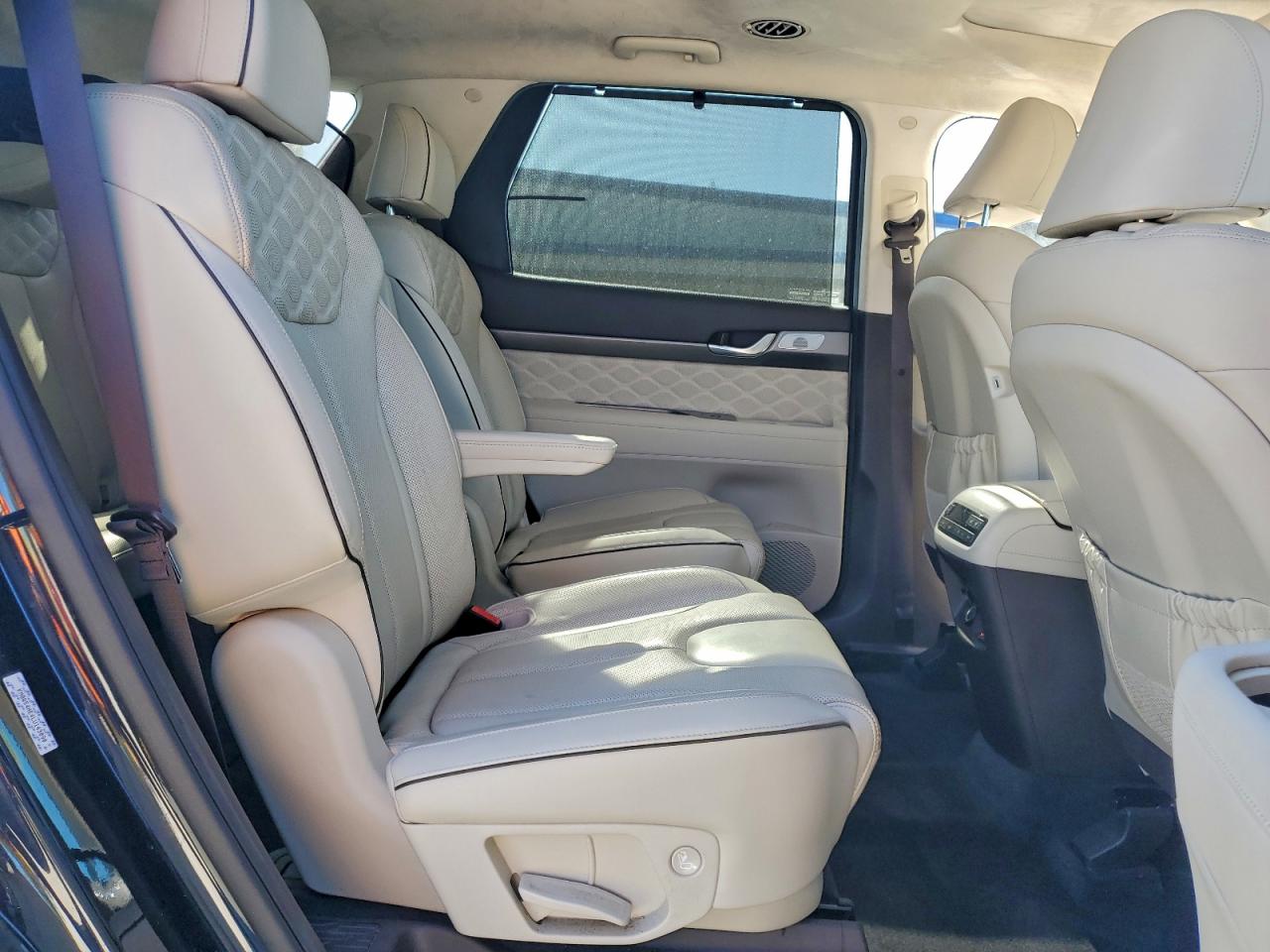 2020 HYUNDAI PALISADE LIMITED photo 11