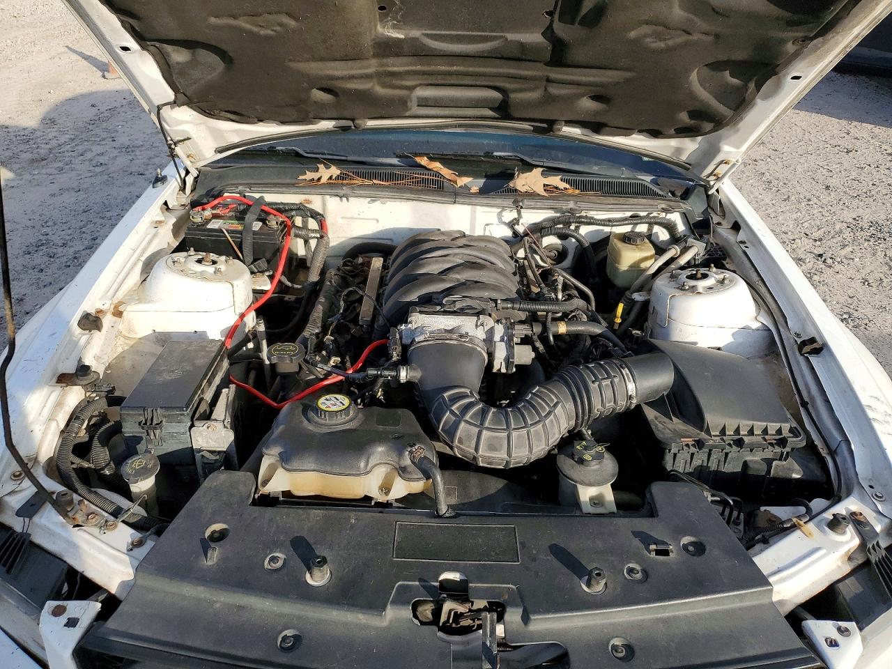 2007 FORD MUSTANG GT photo 11