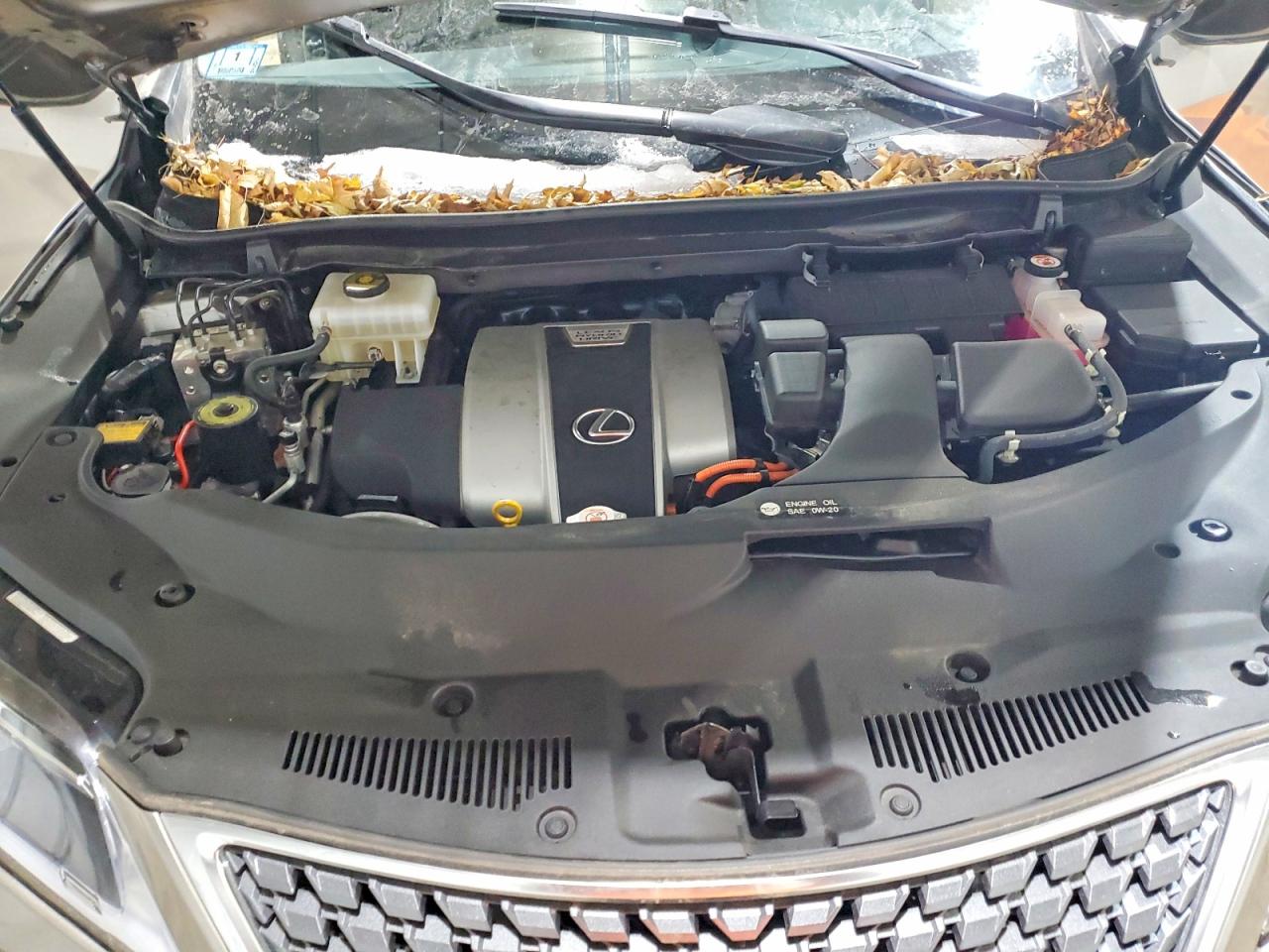 2021 LEXUS RX 450H photo 12