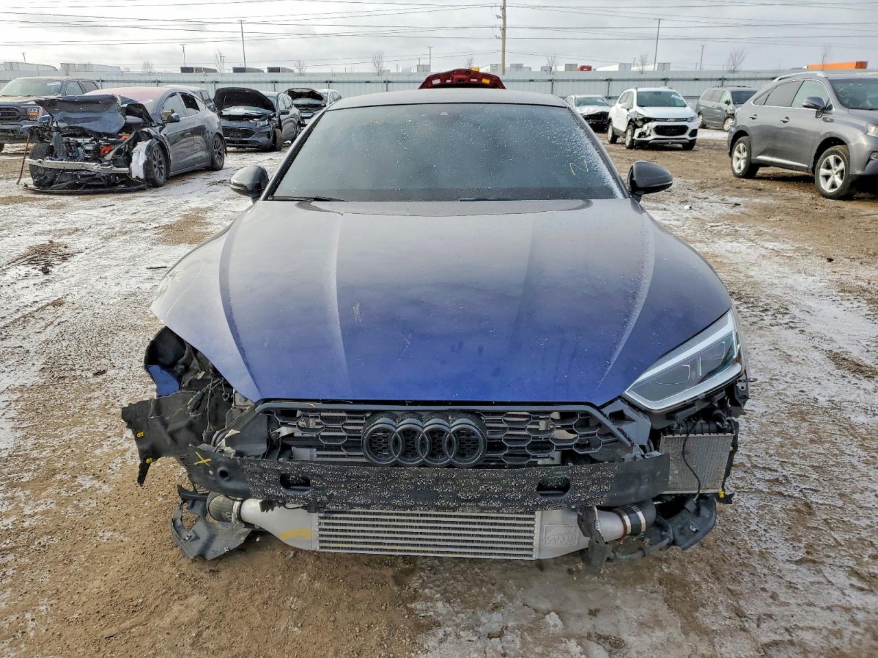 2019 AUDI S5 PREMIUM PLUS photo 5
