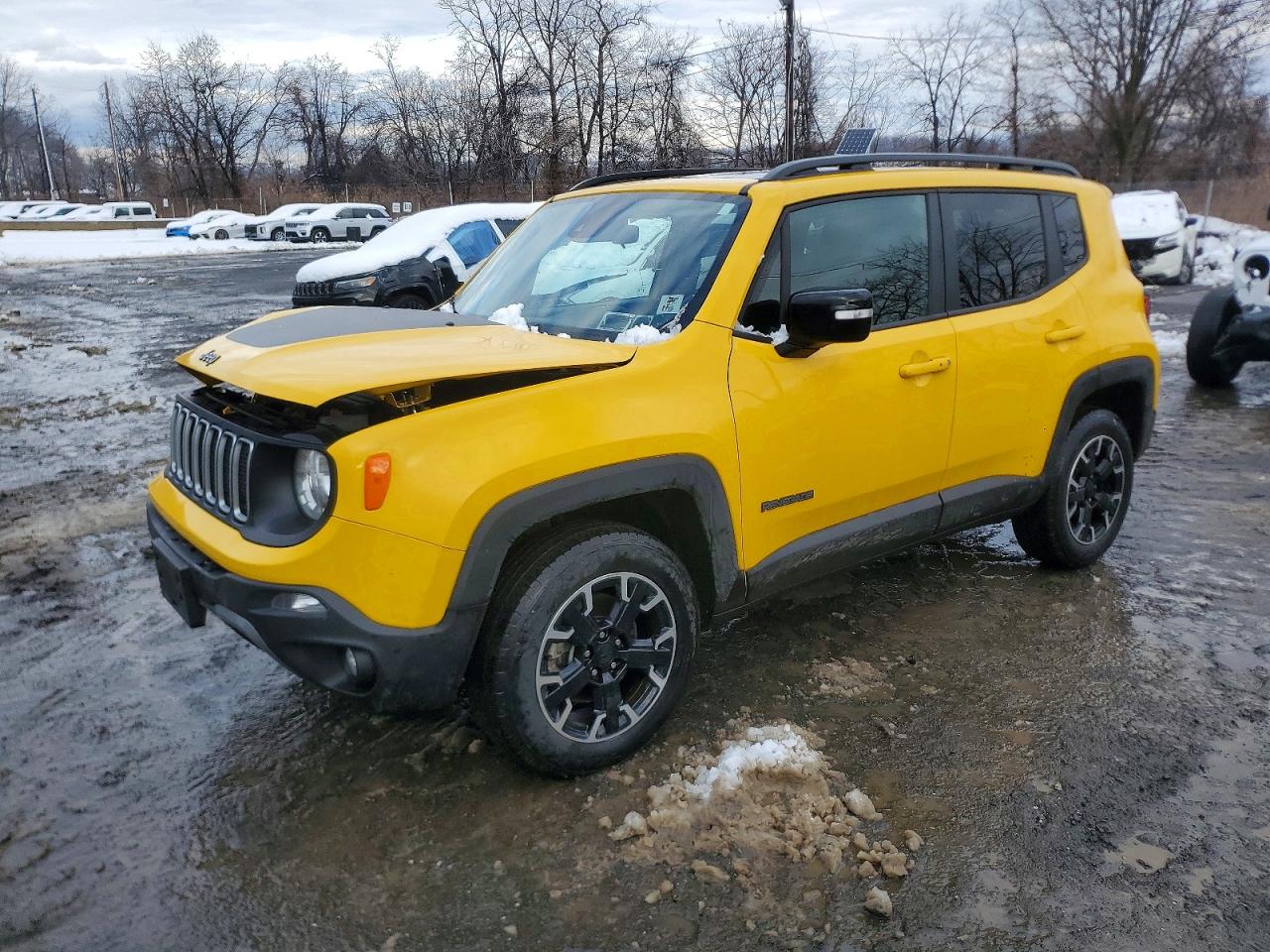 2023 JEEP RENEGADE