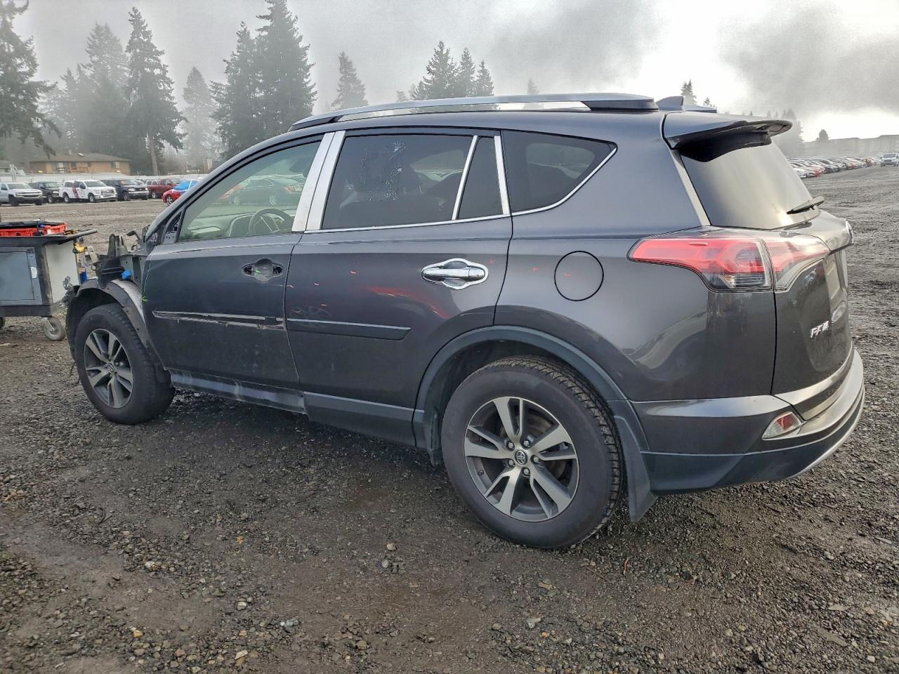2017 TOYOTA RAV4 XLE photo 2