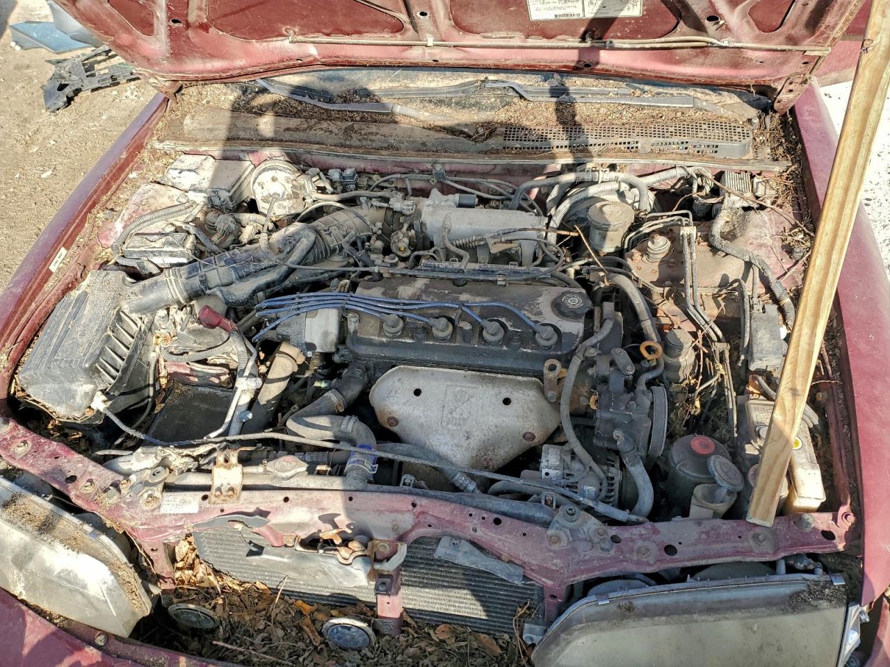 1997 HONDA ACCORD EX photo 11