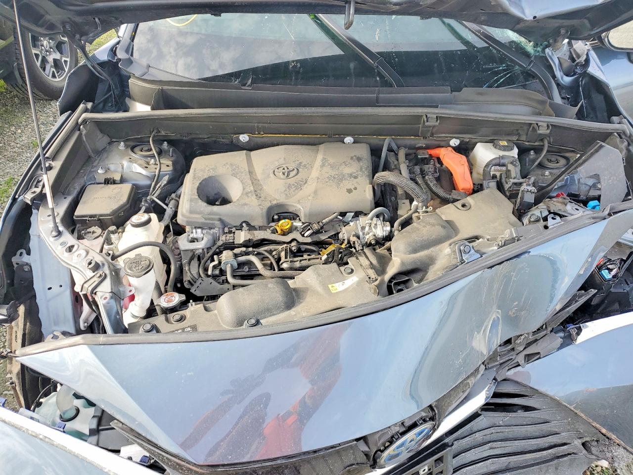 2023 TOYOTA VENZA LE photo 12