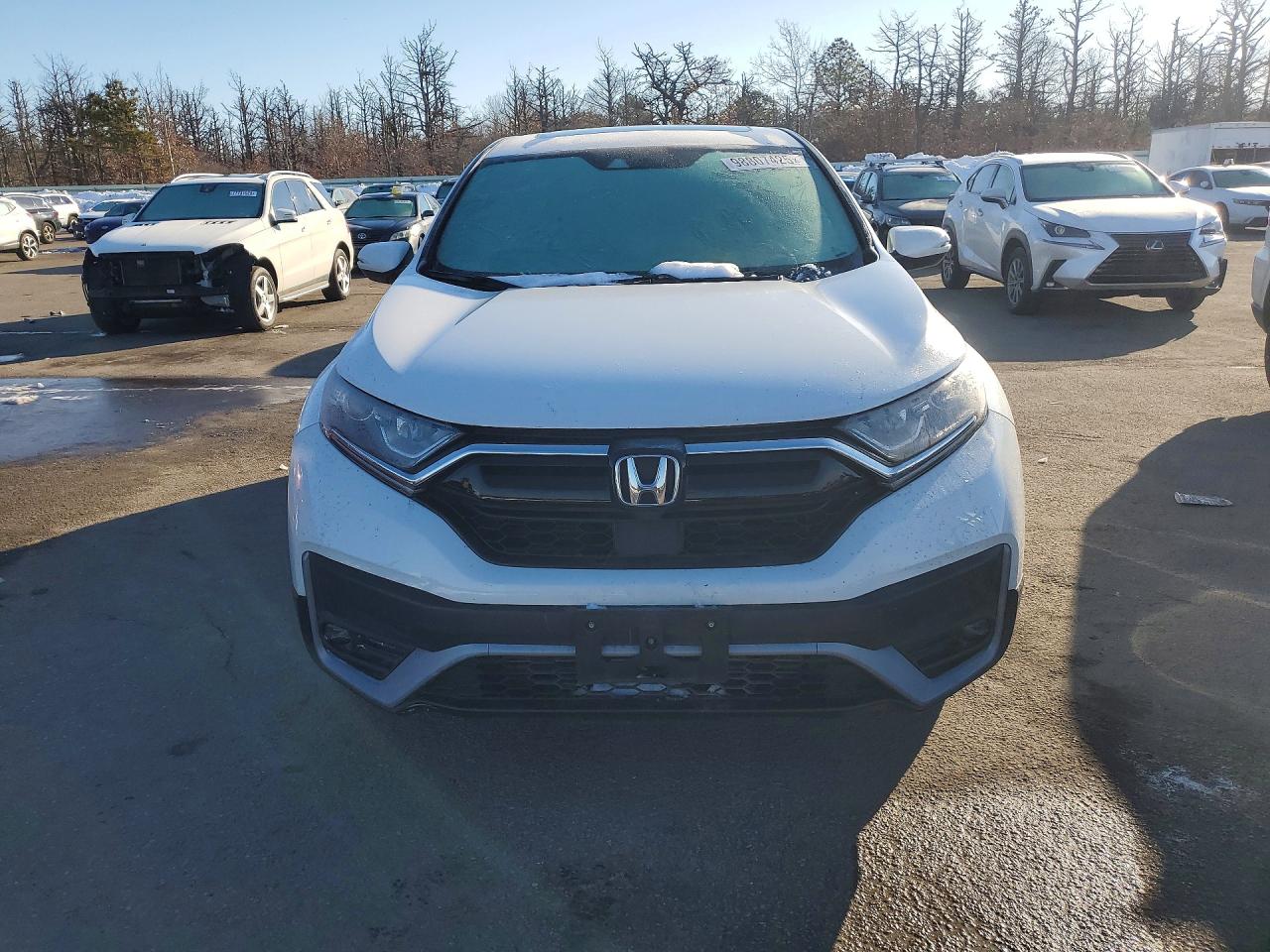 2020 HONDA CR-V EXL photo 5