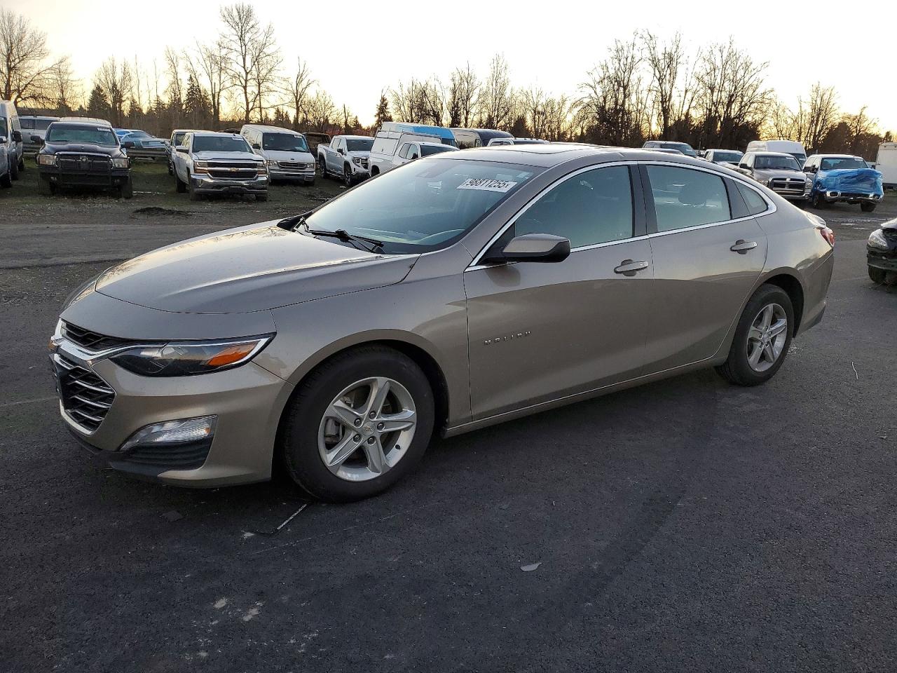 2024 CHEVROLET MALIBU