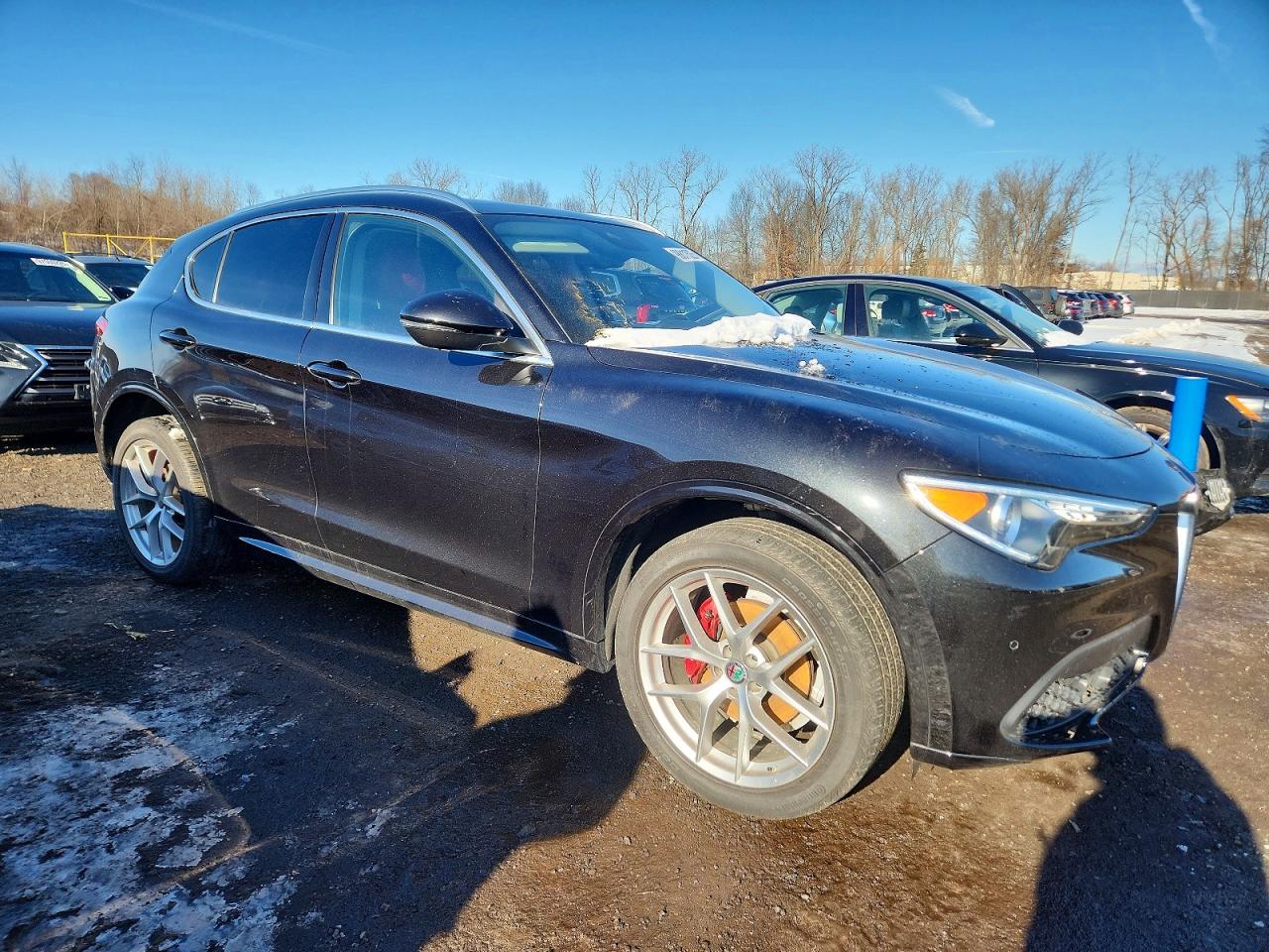 2021 ALFA ROMEO STELVIO TI photo 4