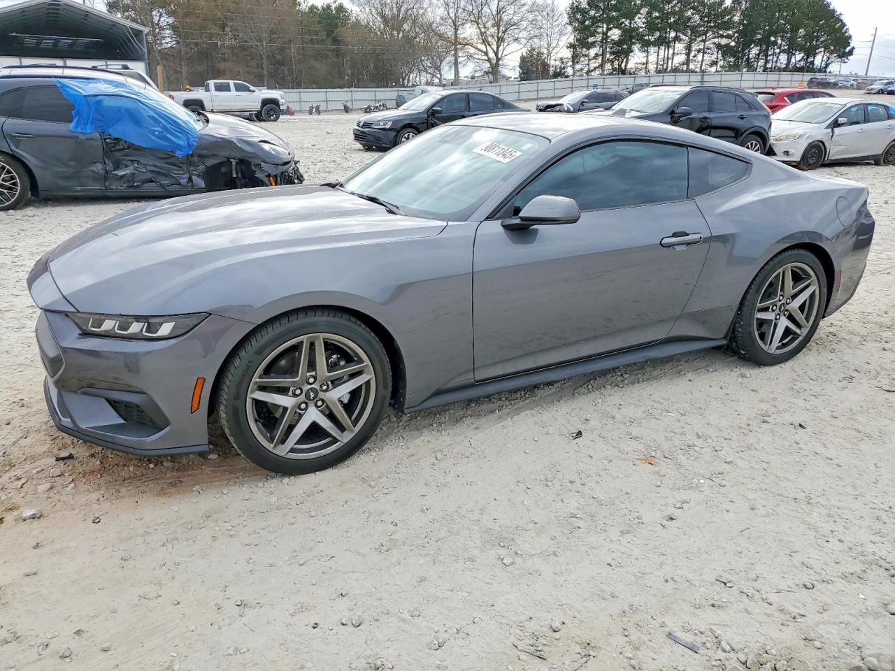 2024 FORD MUSTANG