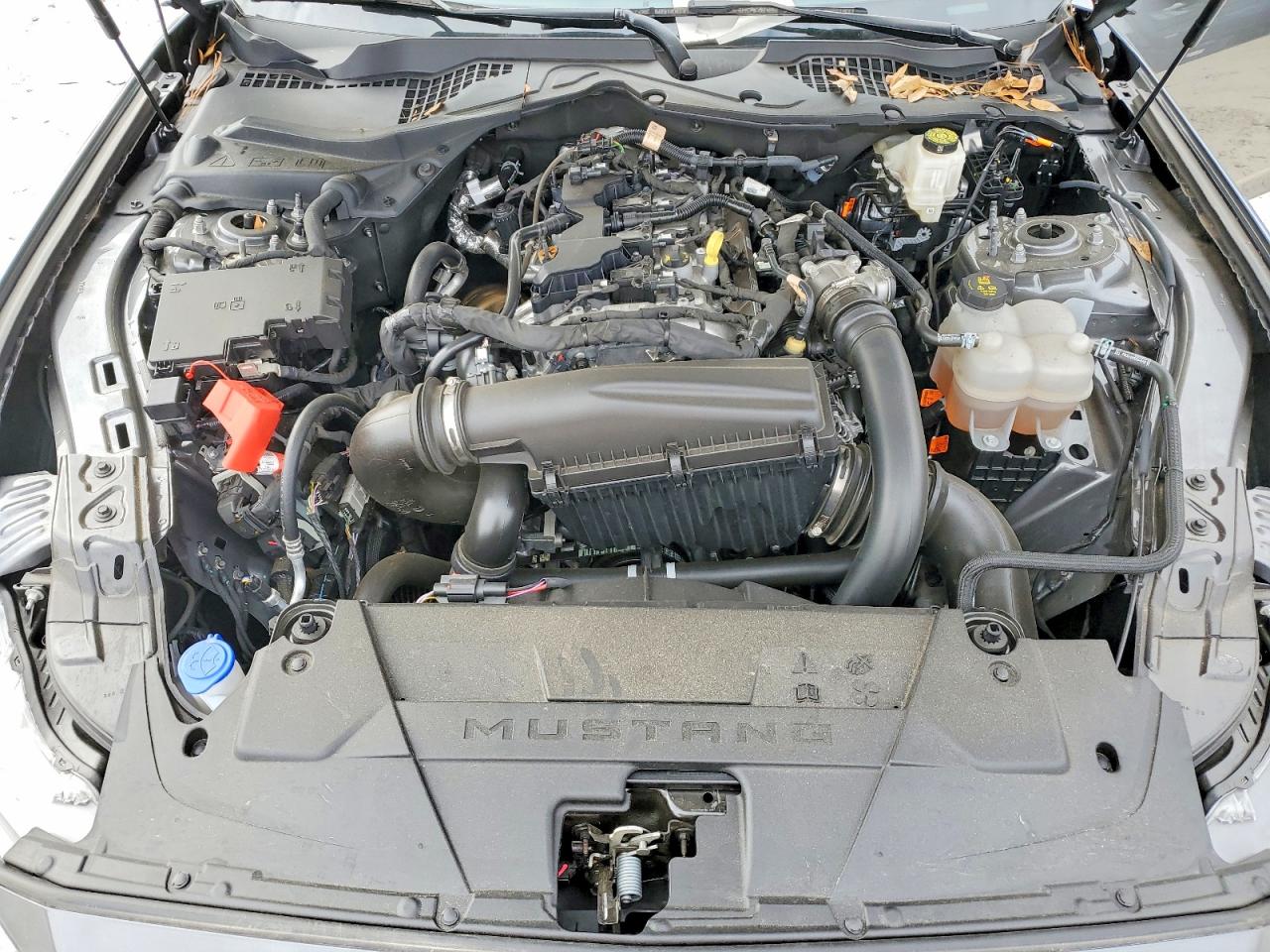 2024 FORD MUSTANG photo 11