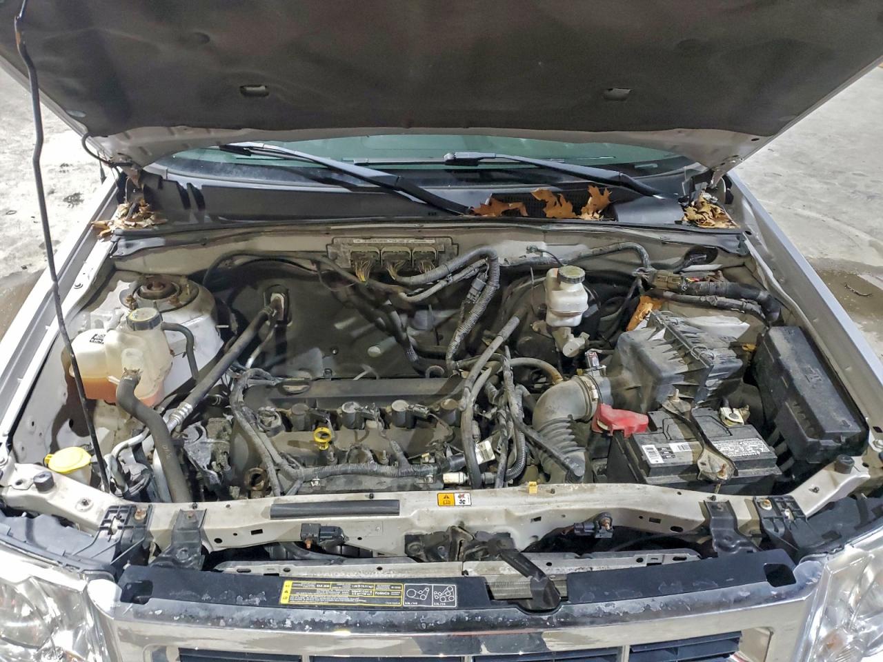 2012 FORD ESCAPE XLT photo 12