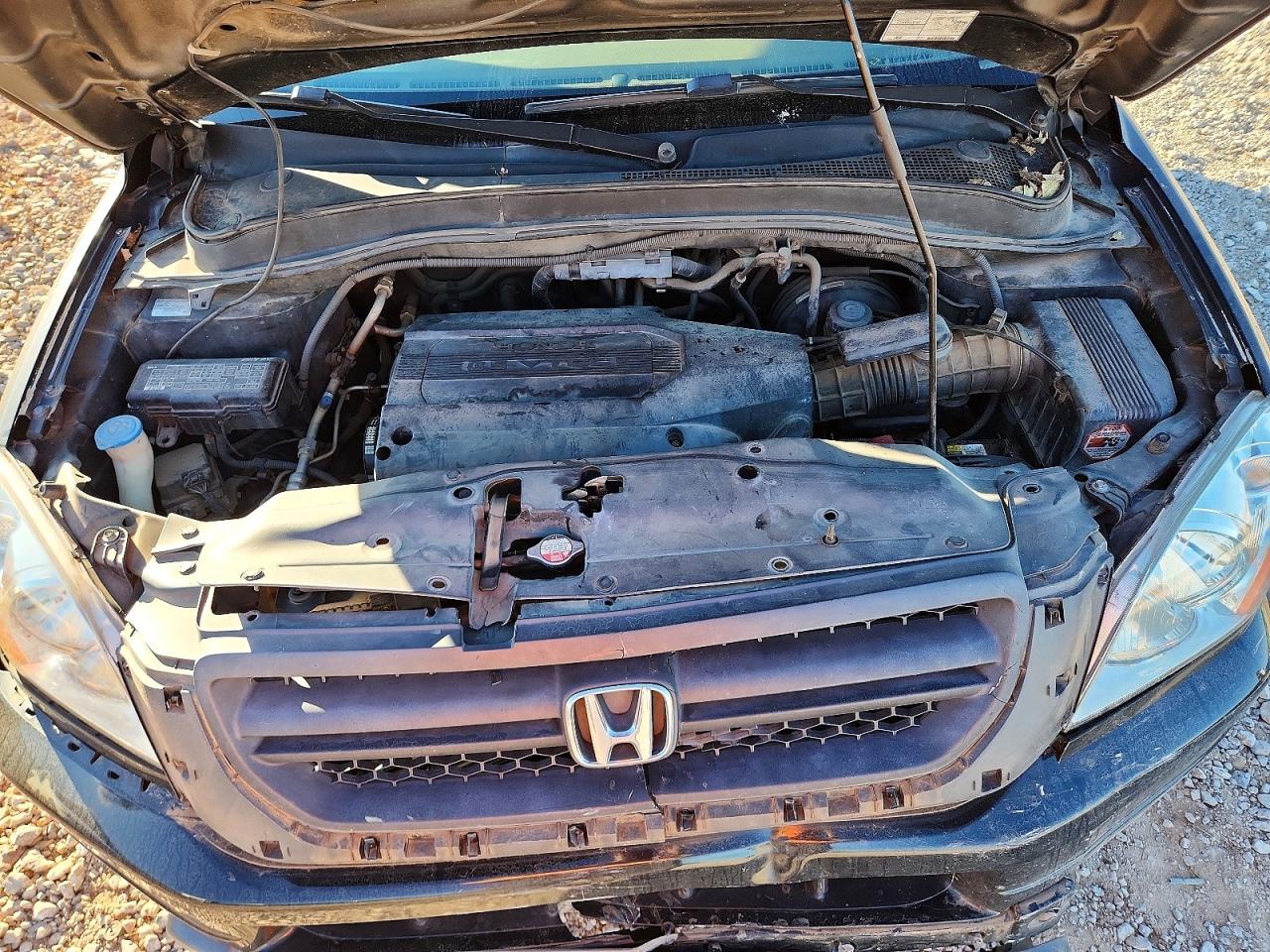 2004 HONDA PILOT EXL photo 12