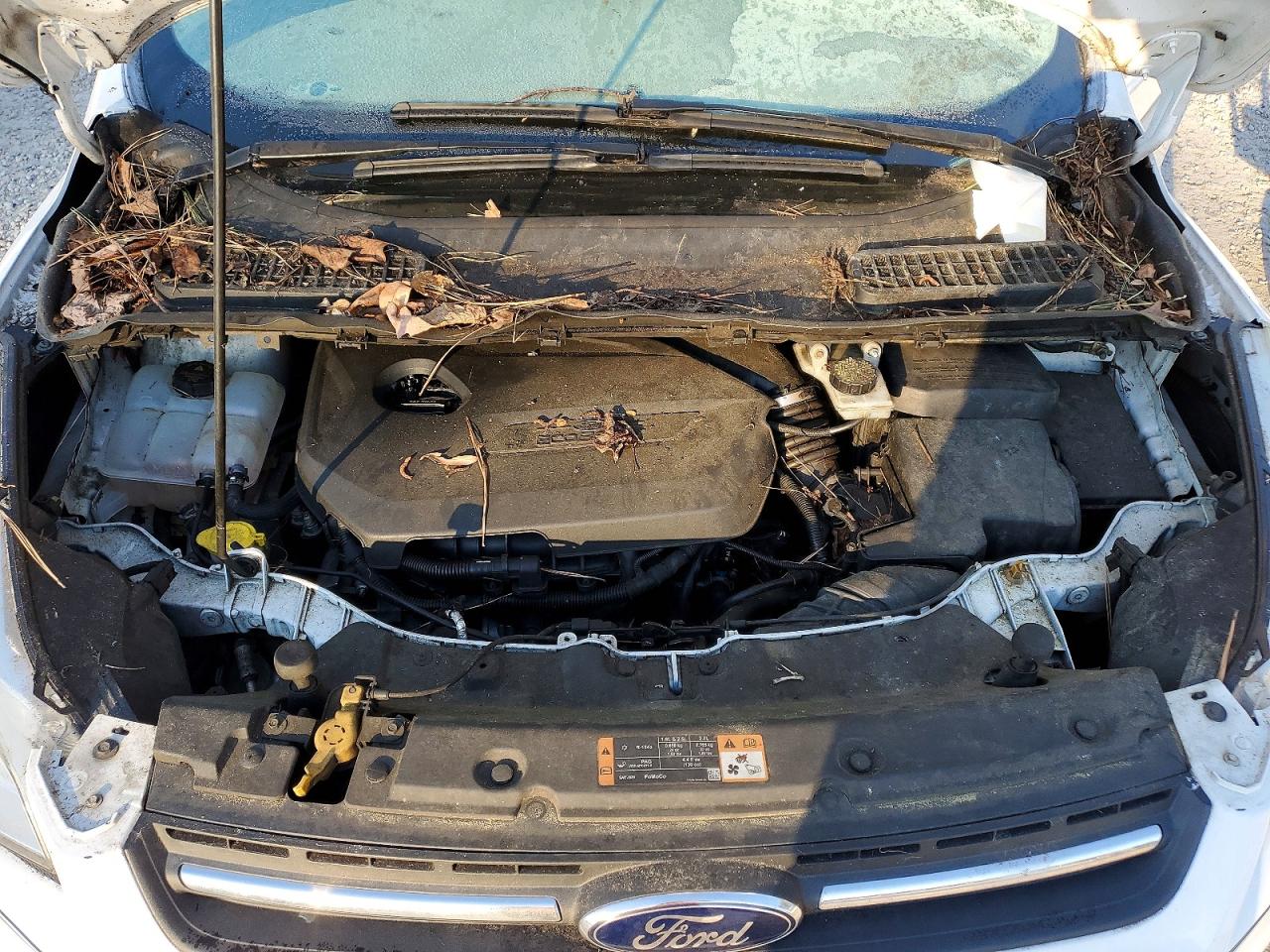 2014 FORD ESCAPE SE photo 11