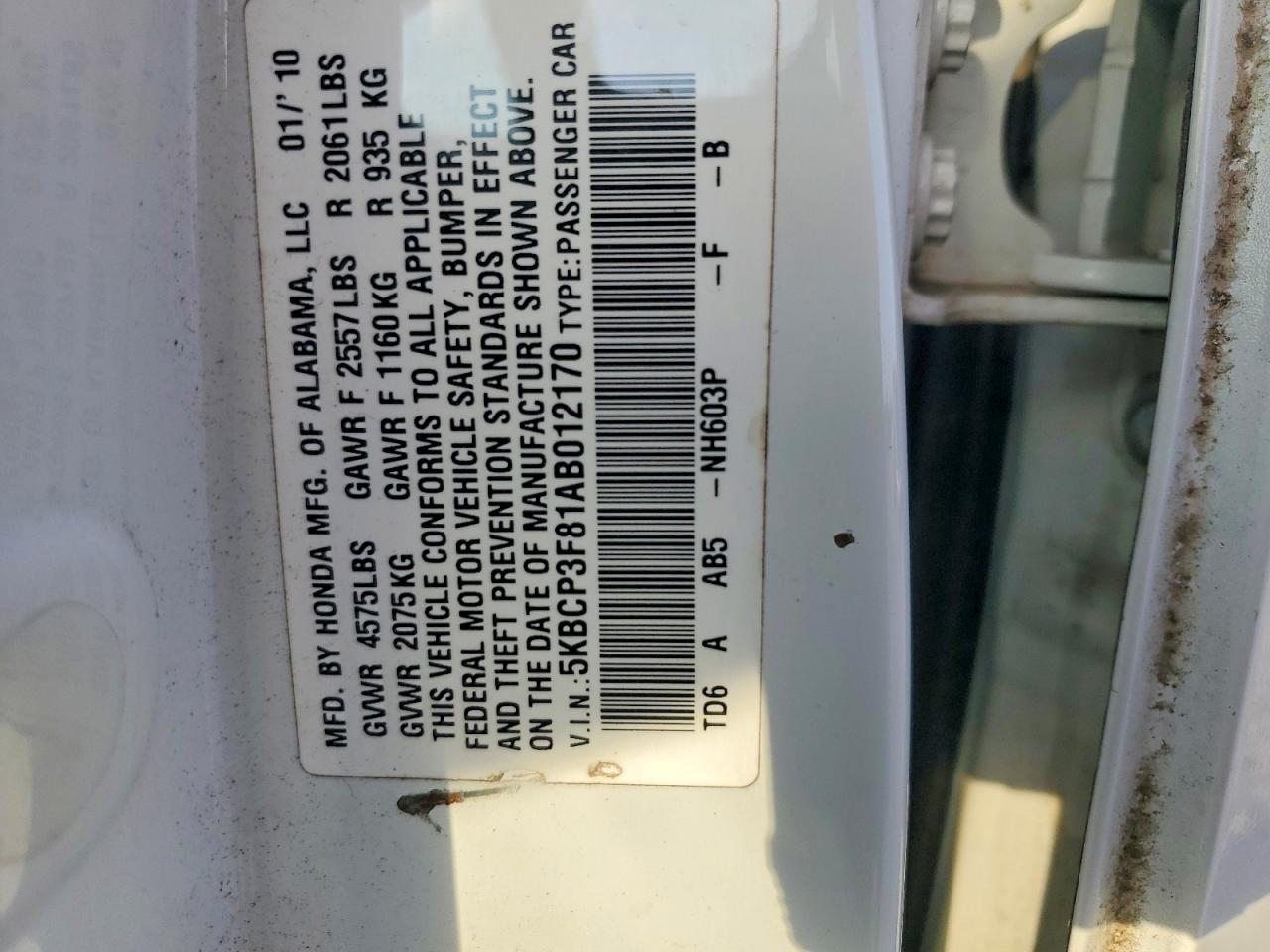 2010 HONDA ACCORD EXL photo 12