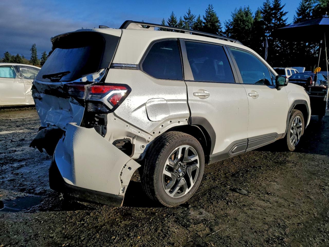 2025 SUBARU FORESTER LIMITED photo 3