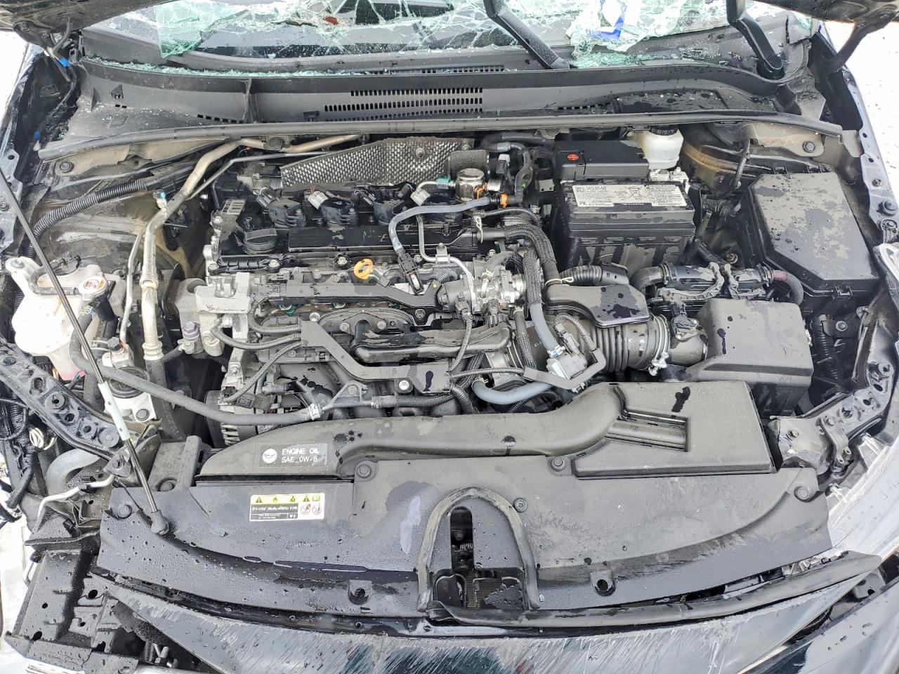 2024 TOYOTA COROLLA LE photo 11