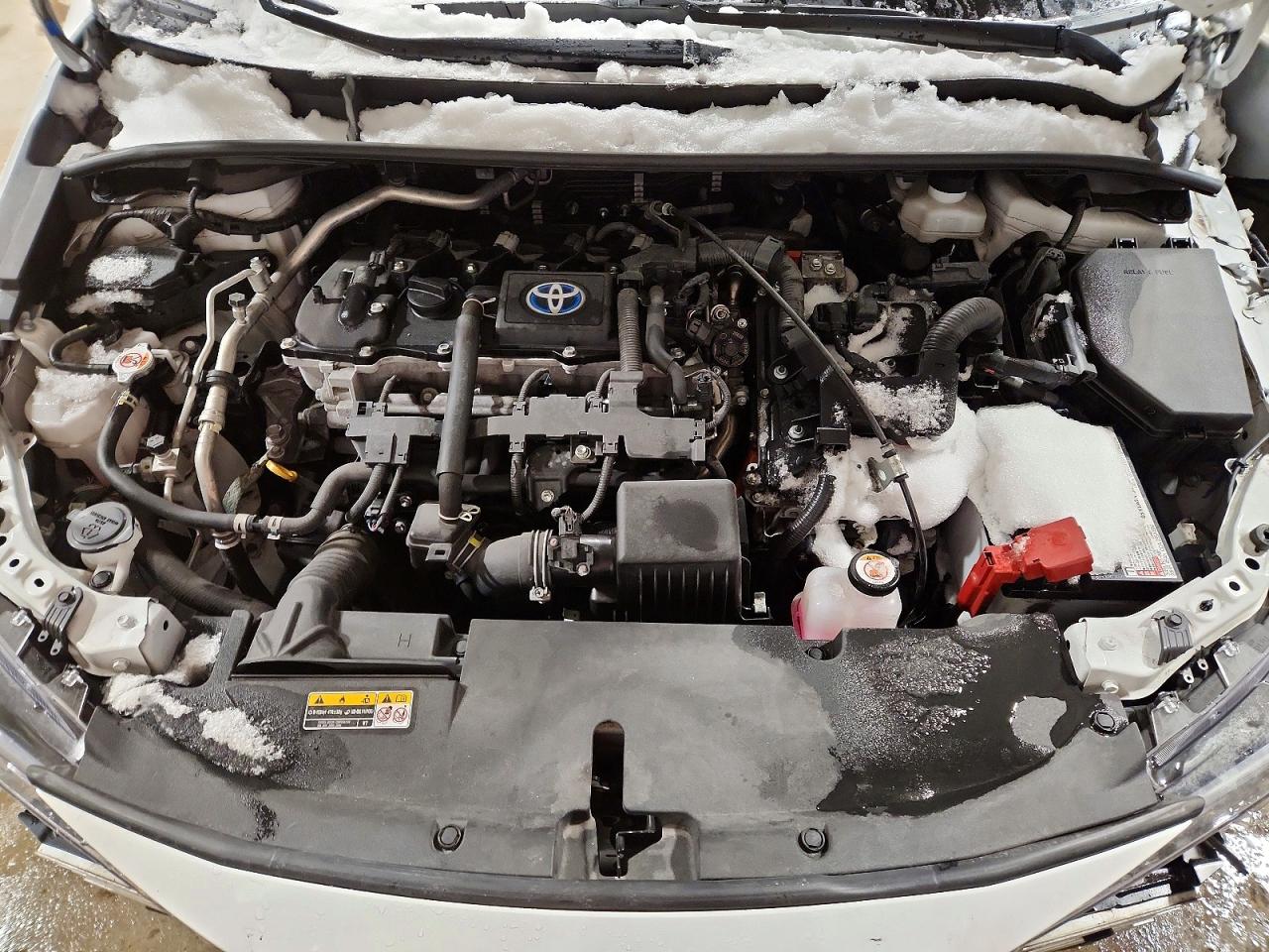 2024 TOYOTA COROLLA LE photo 11