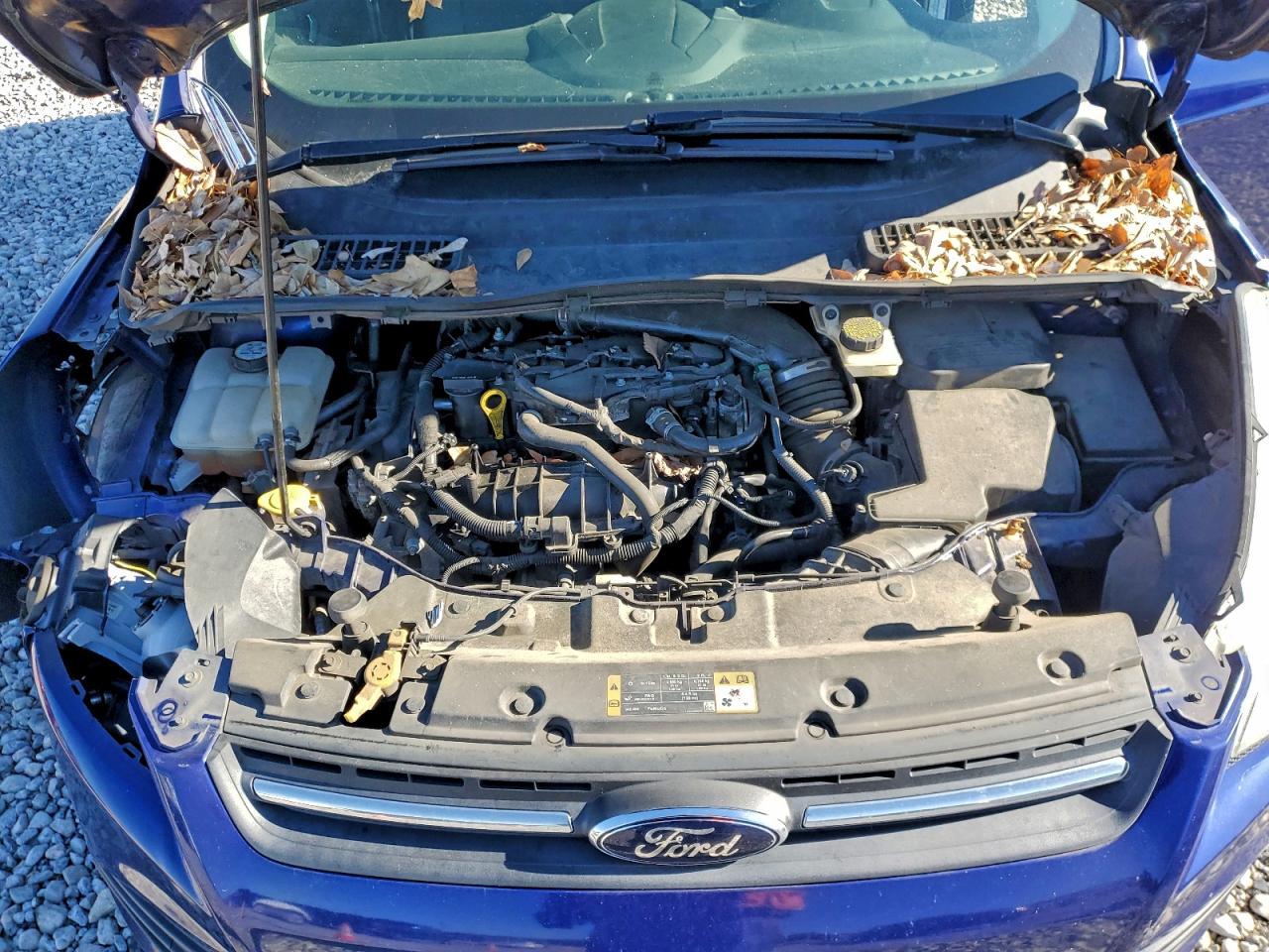 2014 FORD ESCAPE SE photo 12