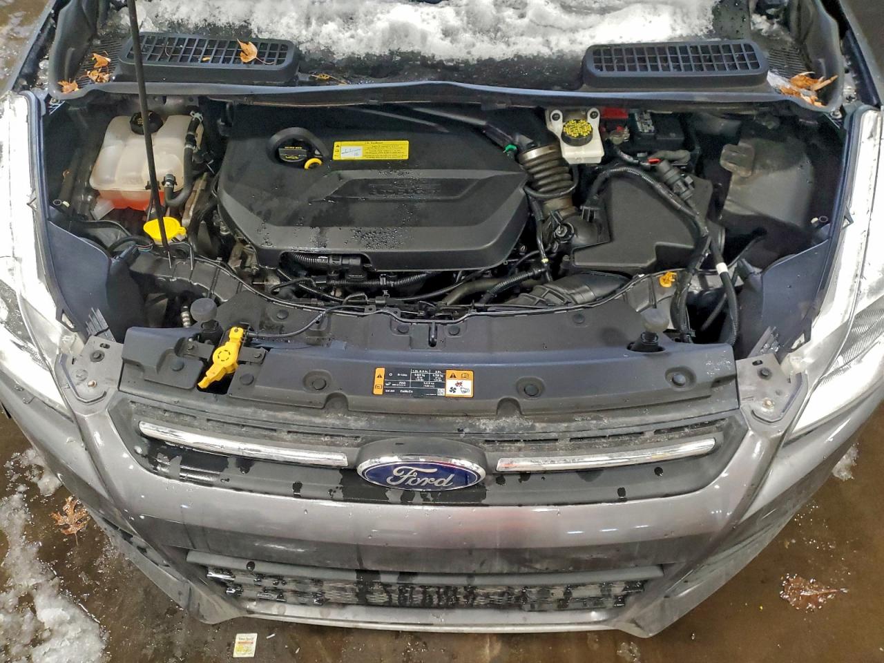 2014 FORD ESCAPE SE photo 12