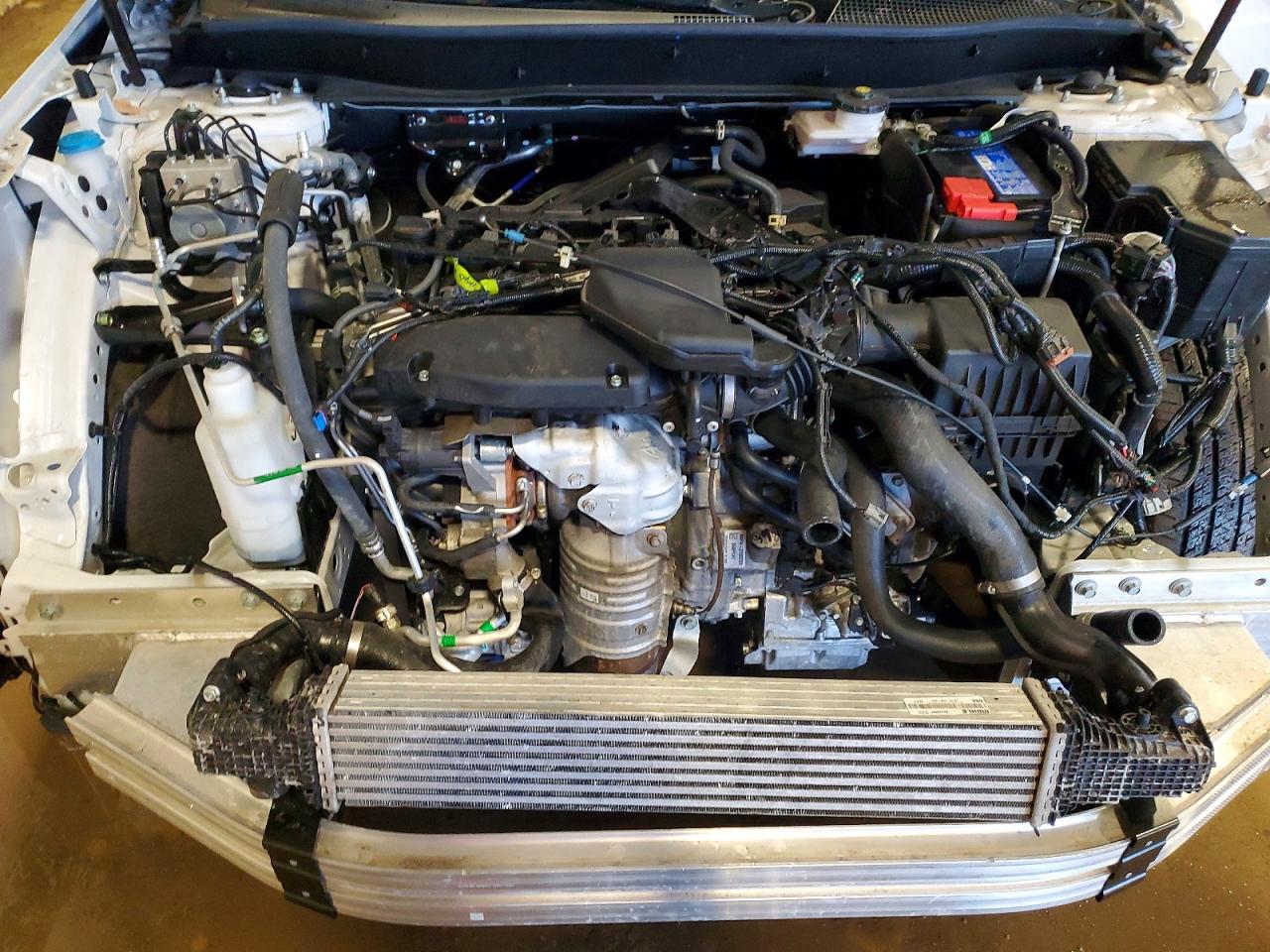 2025 HONDA CR-V EXL photo 12