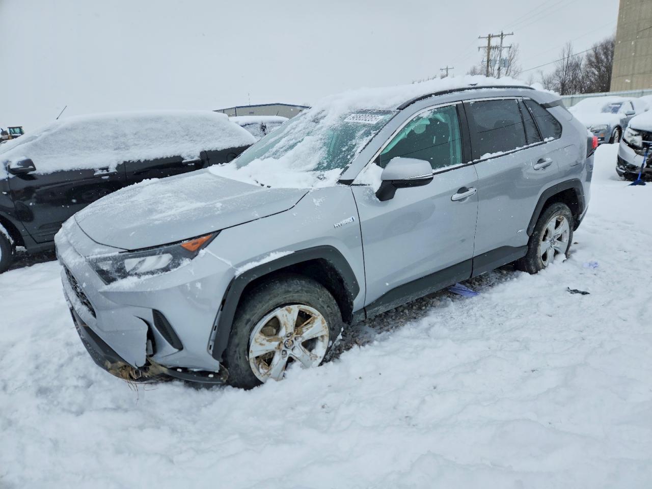 2019 TOYOTA RAV4