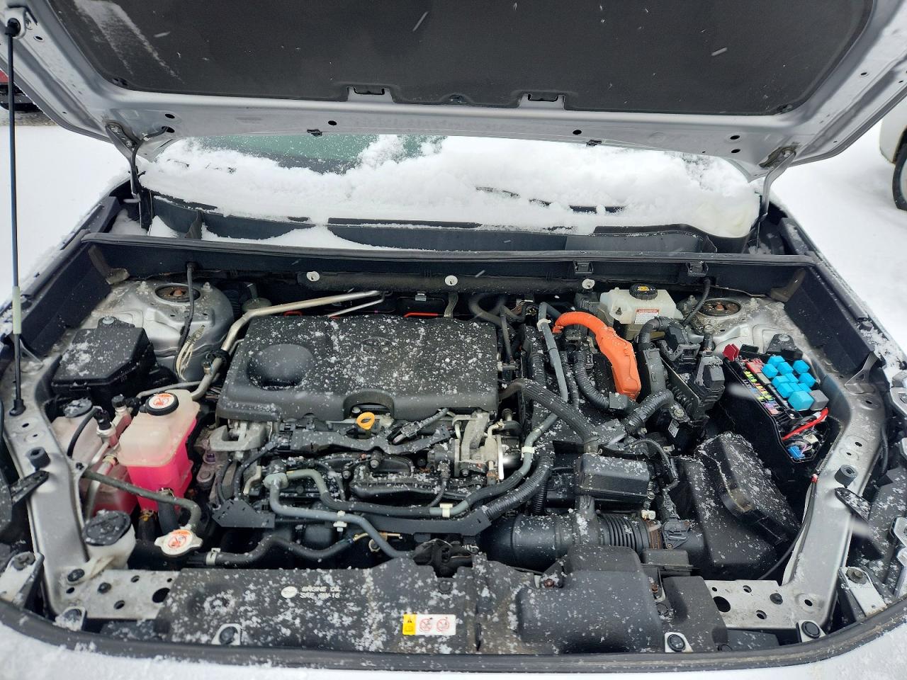 2019 TOYOTA RAV4 LE photo 11