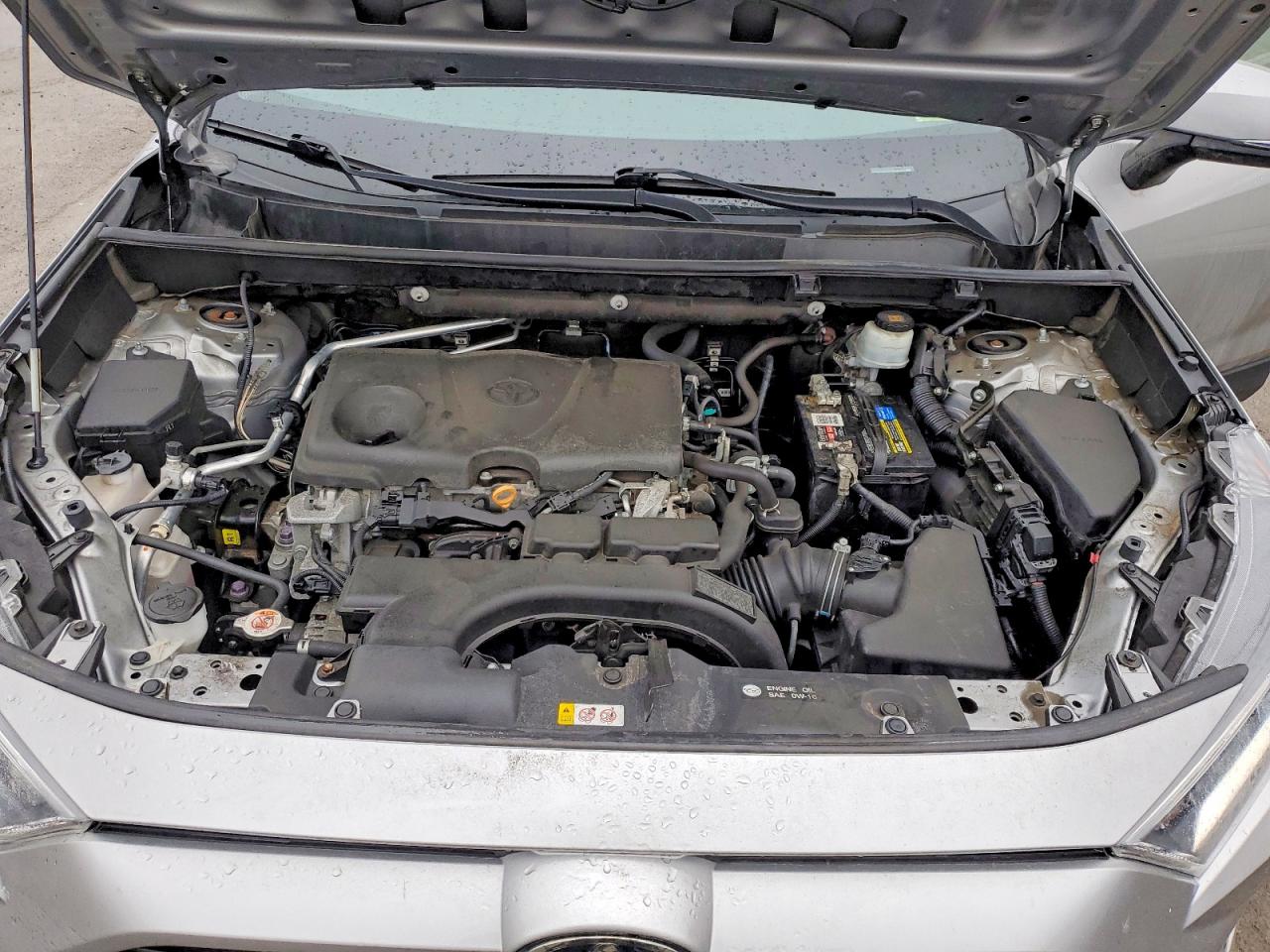 2019 TOYOTA RAV4 XLE photo 12