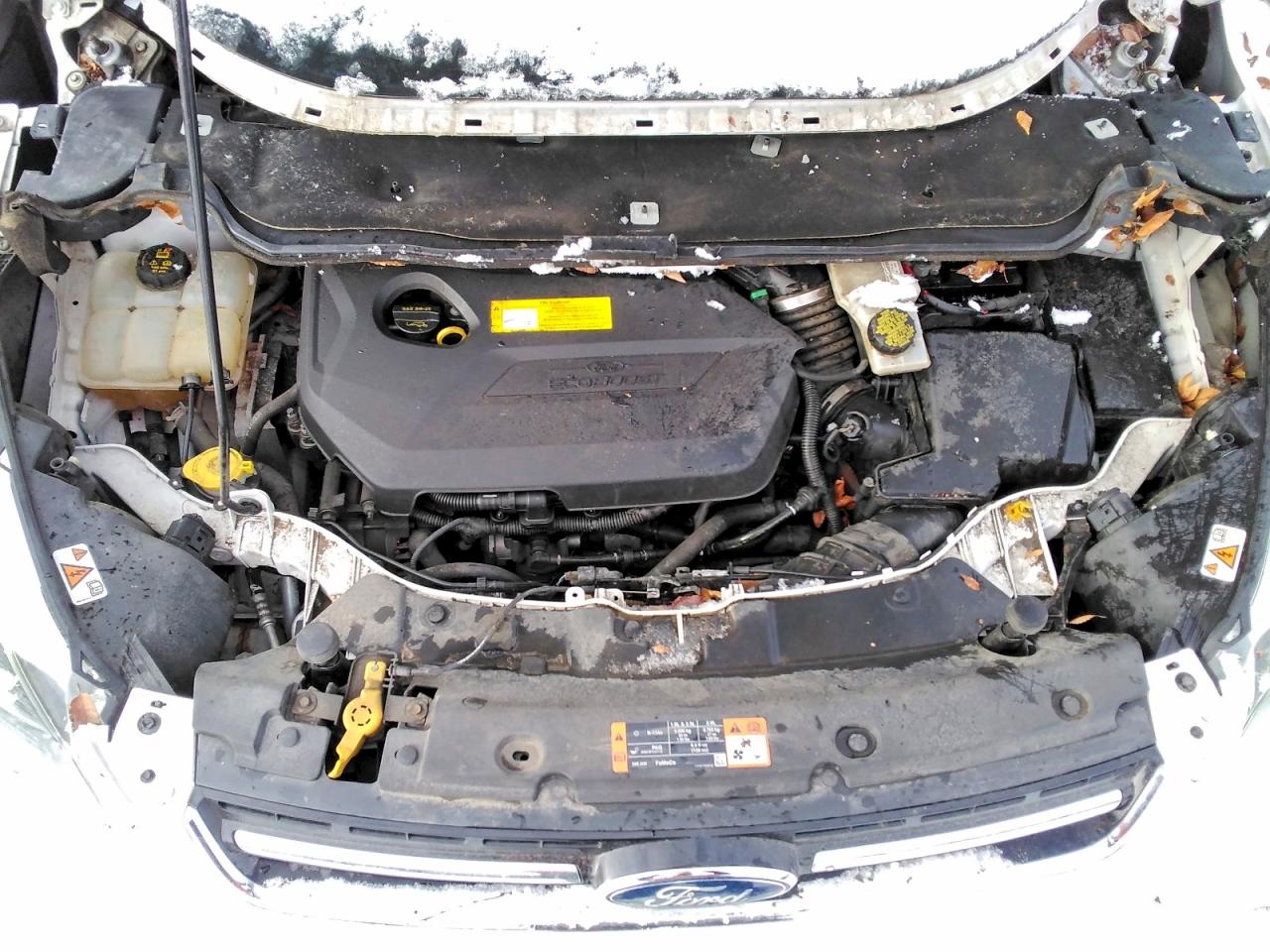 2016 FORD ESCAPE TITANIUM photo 31