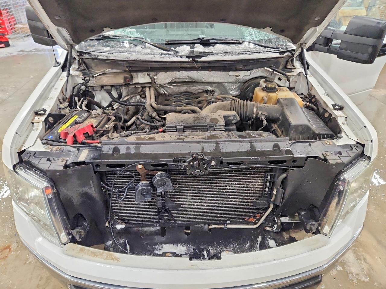 2011 FORD F150 photo 11
