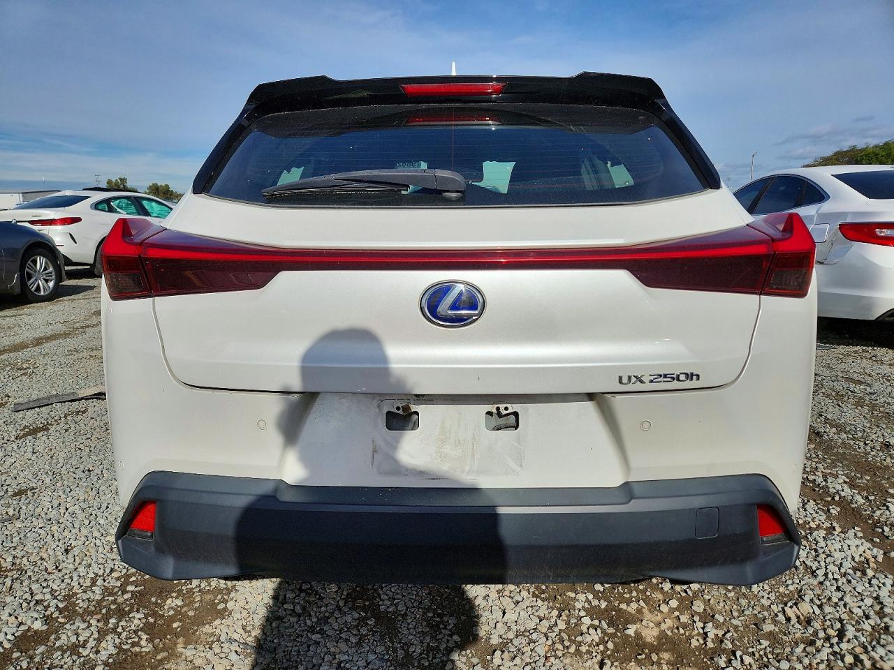 2020 LEXUS UX 250H photo 6