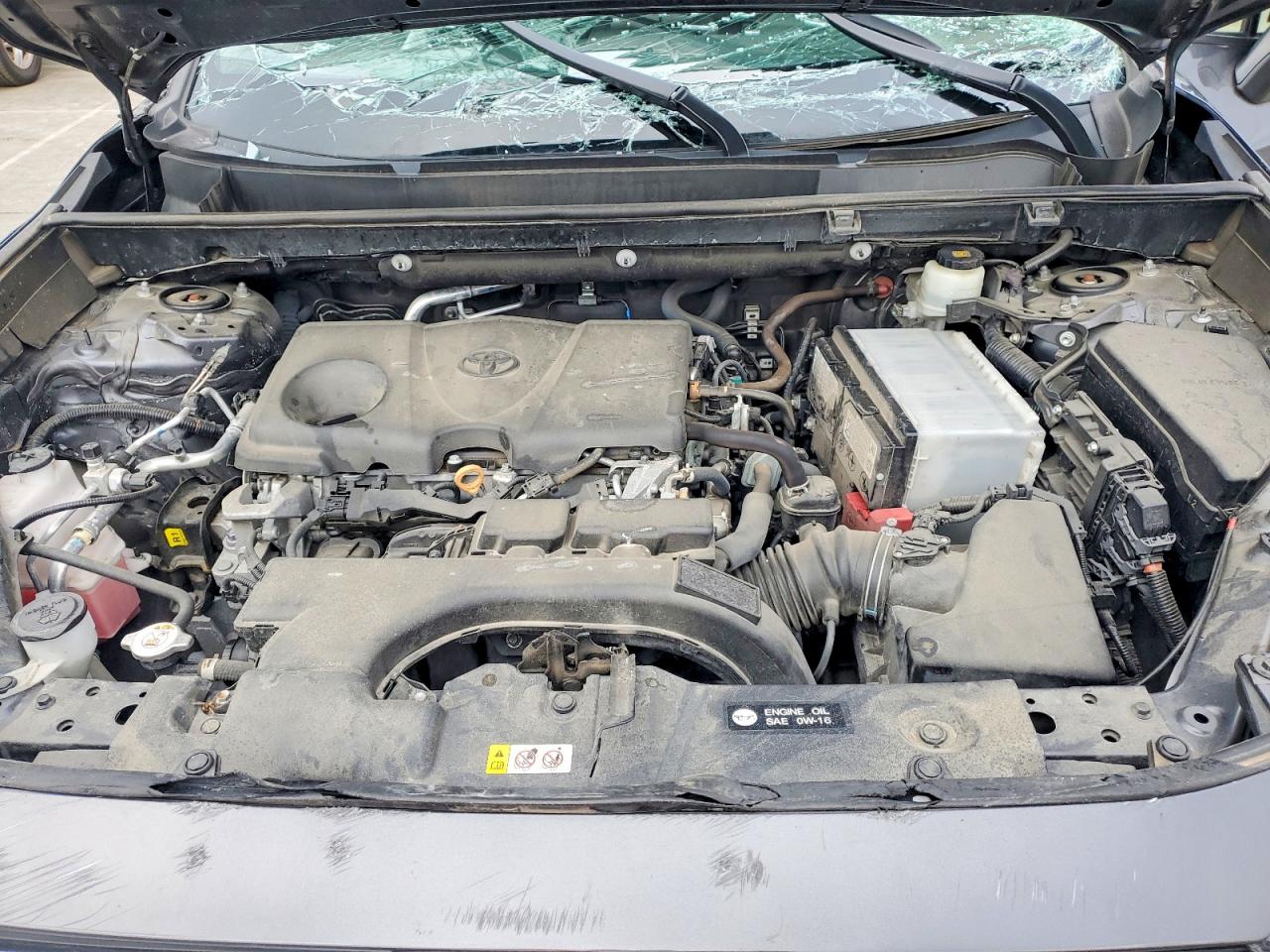 2021 TOYOTA RAV4 LE photo 12