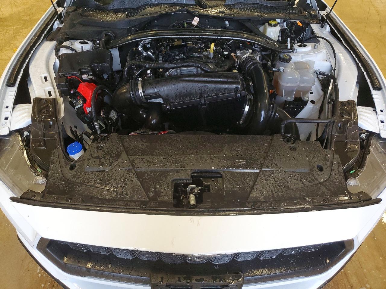 2025 FORD MUSTANG photo 11