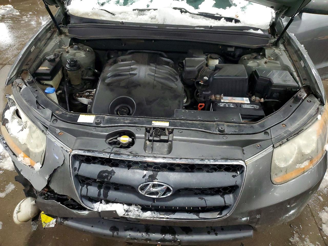 2009 HYUNDAI SANTA FE SE photo 12