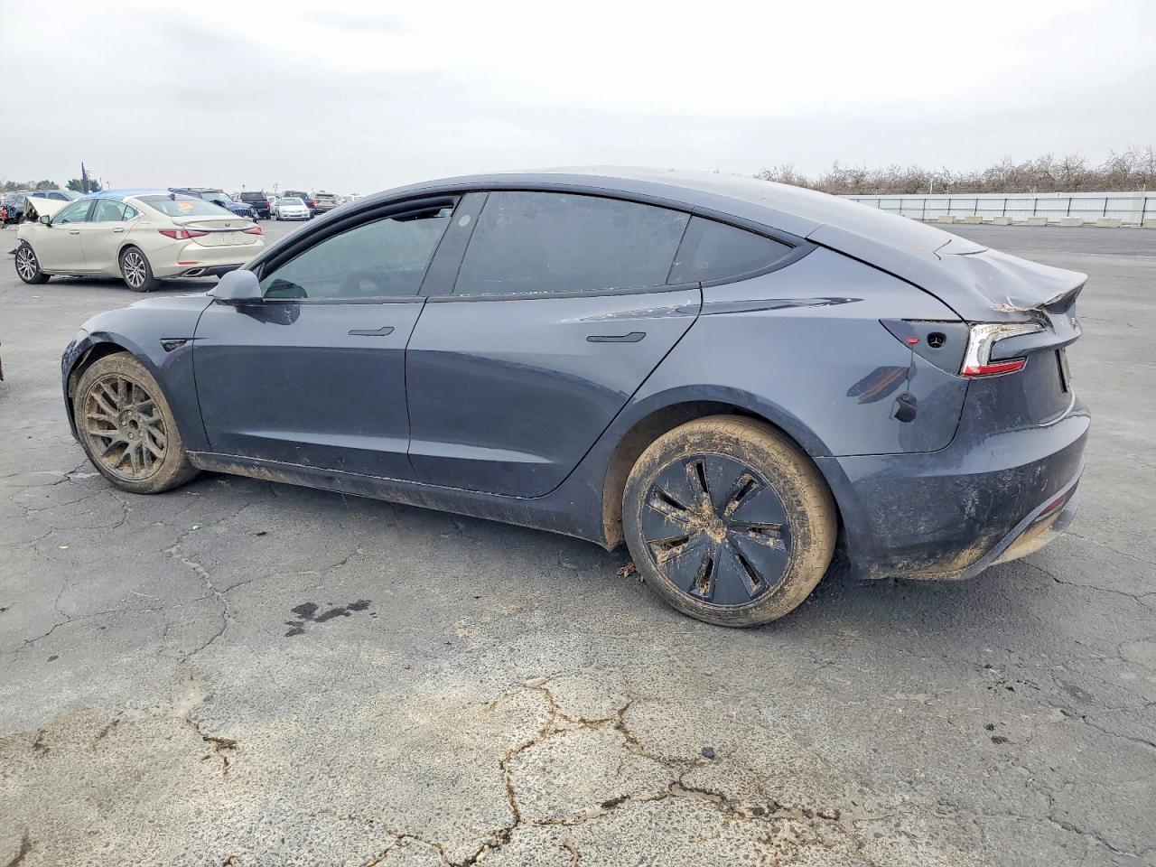2024 TESLA MODEL 3 photo 2