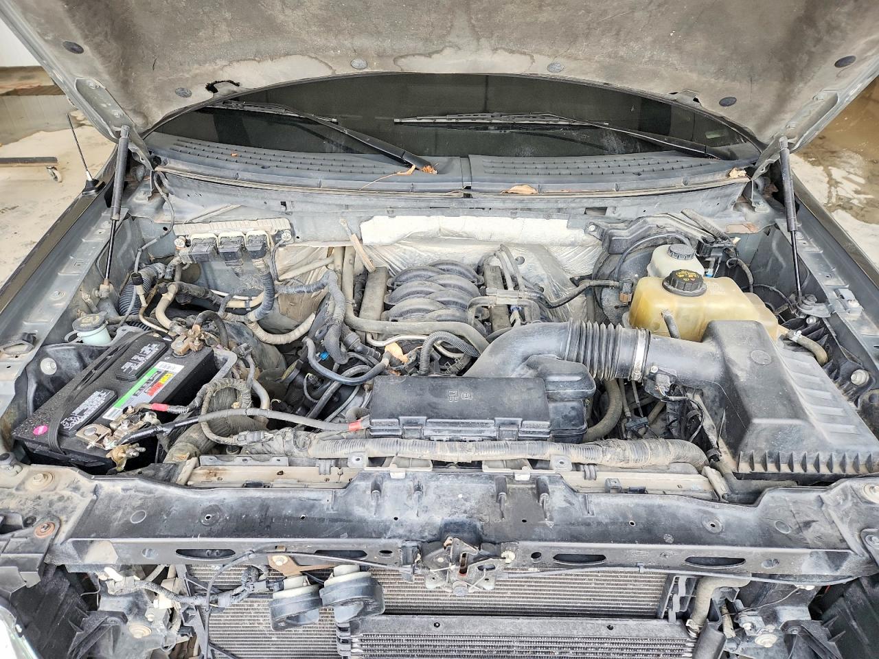 2011 FORD F150 SUPERCREW photo 11