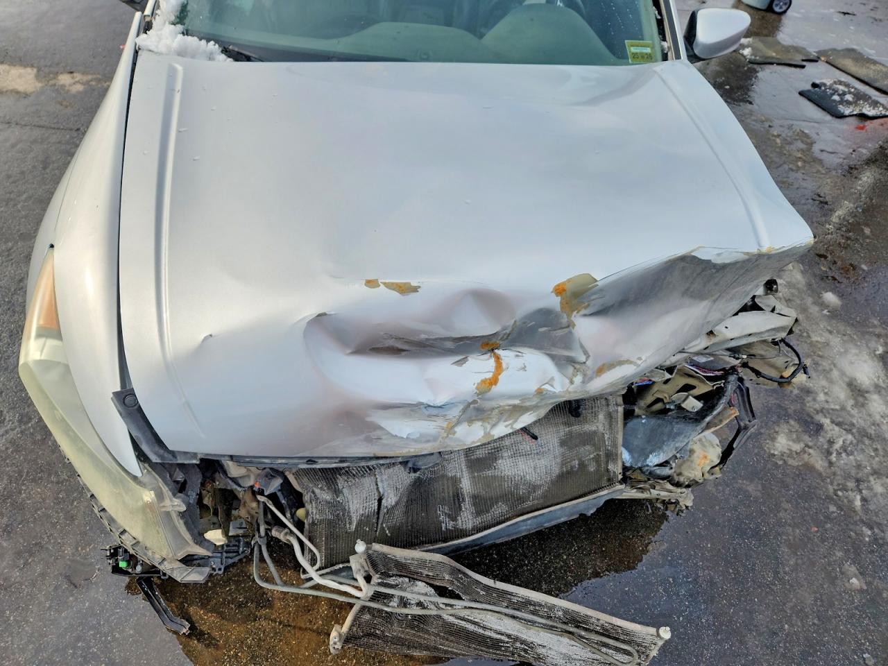 2009 HONDA ACCORD EXL photo 11