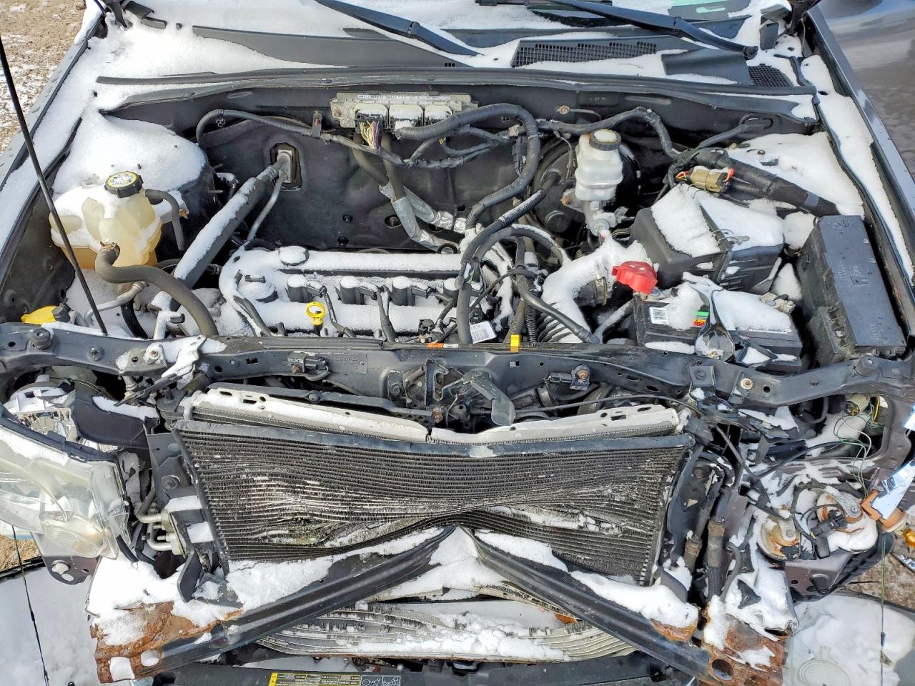 2010 FORD ESCAPE XLT photo 11
