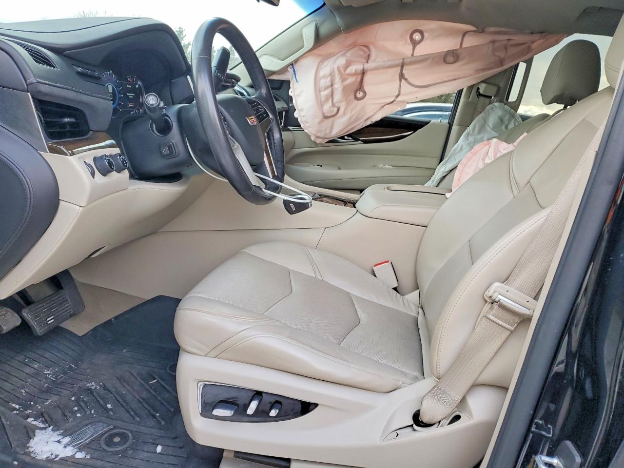 2019 CADILLAC ESCALADE ESV LUXURY photo 19