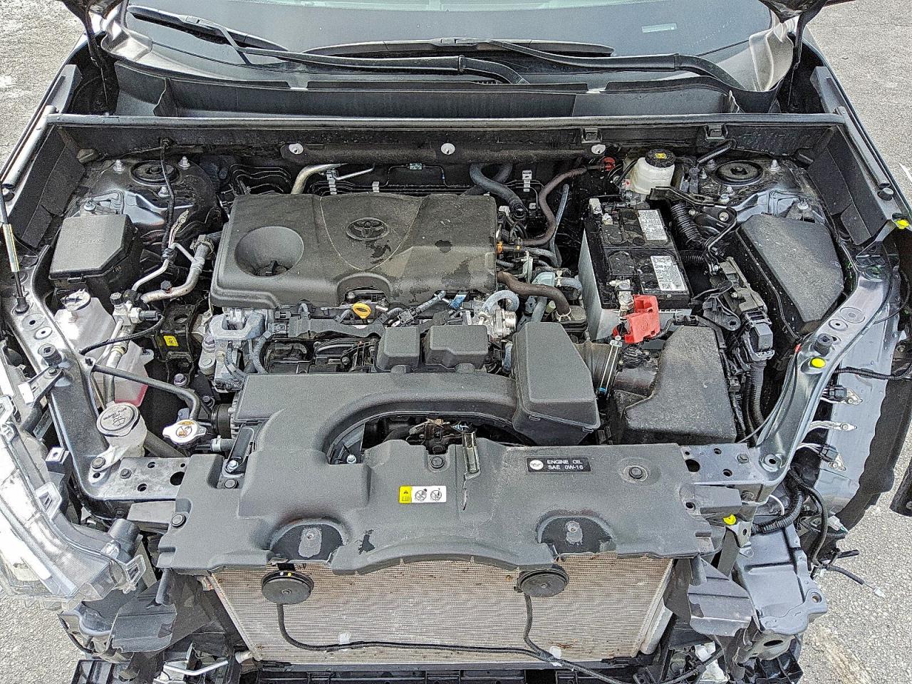 2025 TOYOTA RAV4 XLE photo 11