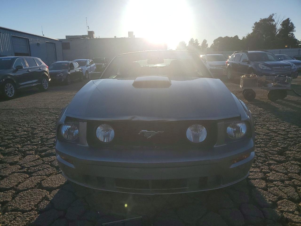2008 FORD MUSTANG GT photo 13