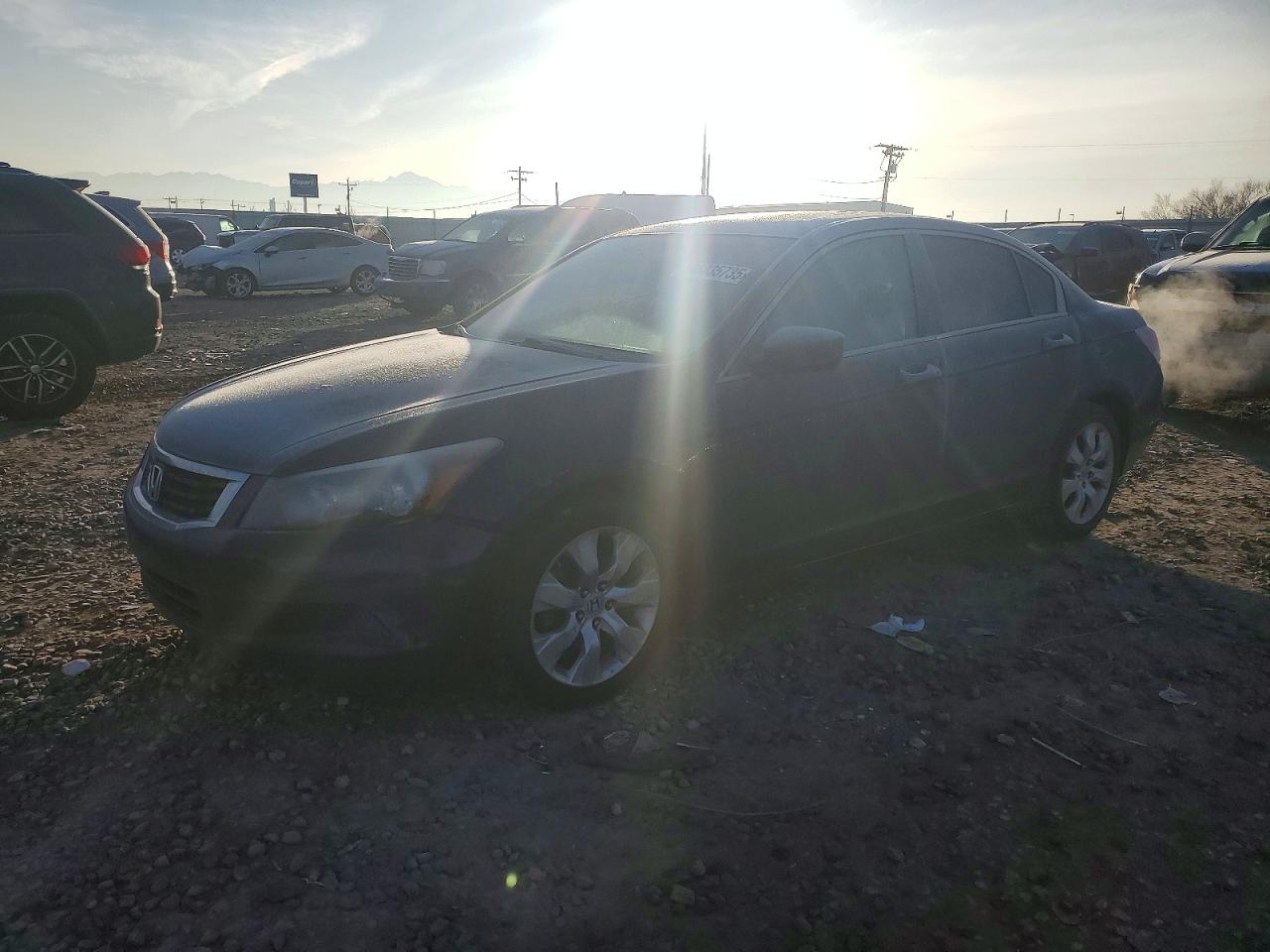 2010 HONDA ACCORD