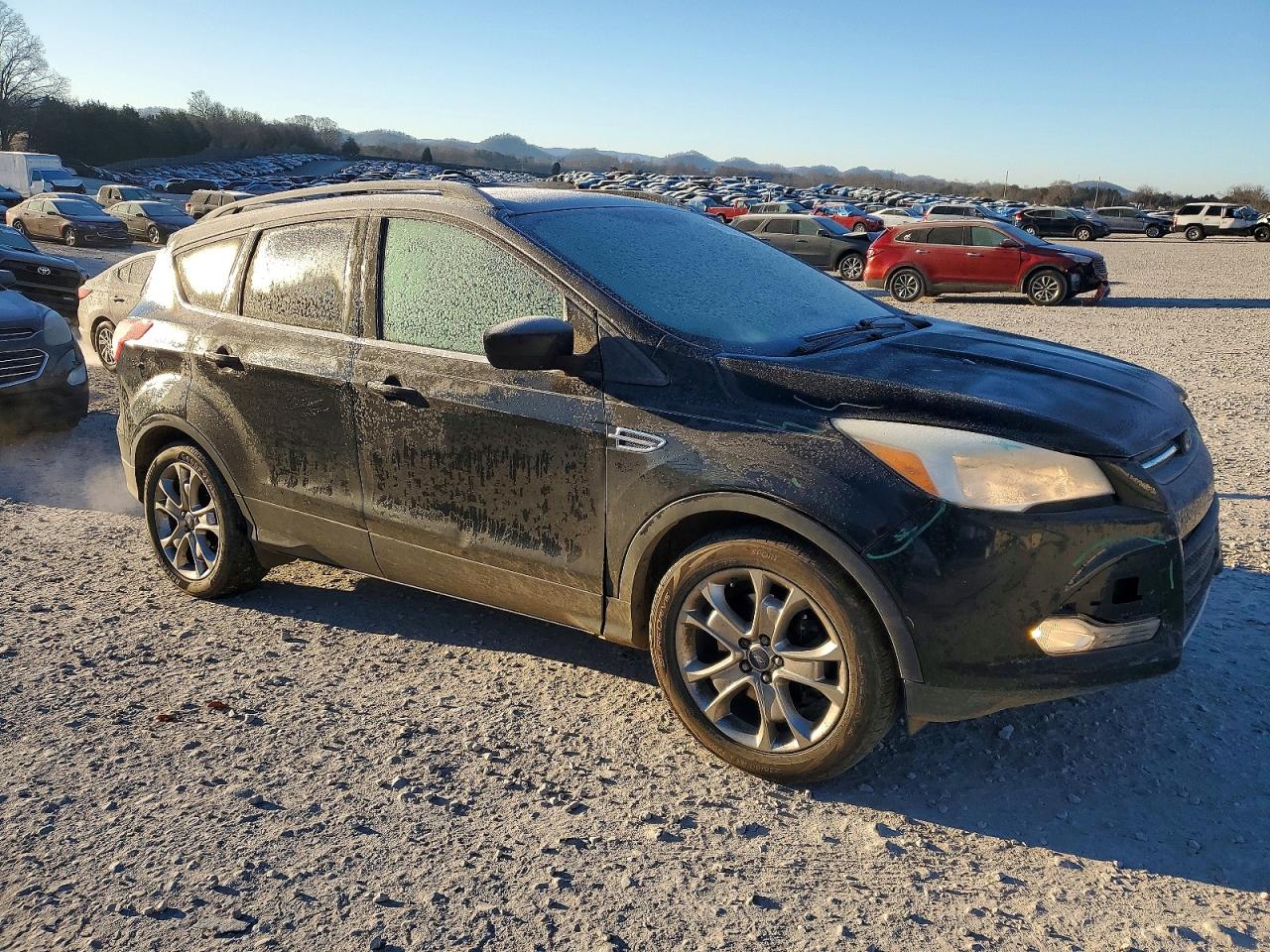 2014 FORD ESCAPE SE photo 4