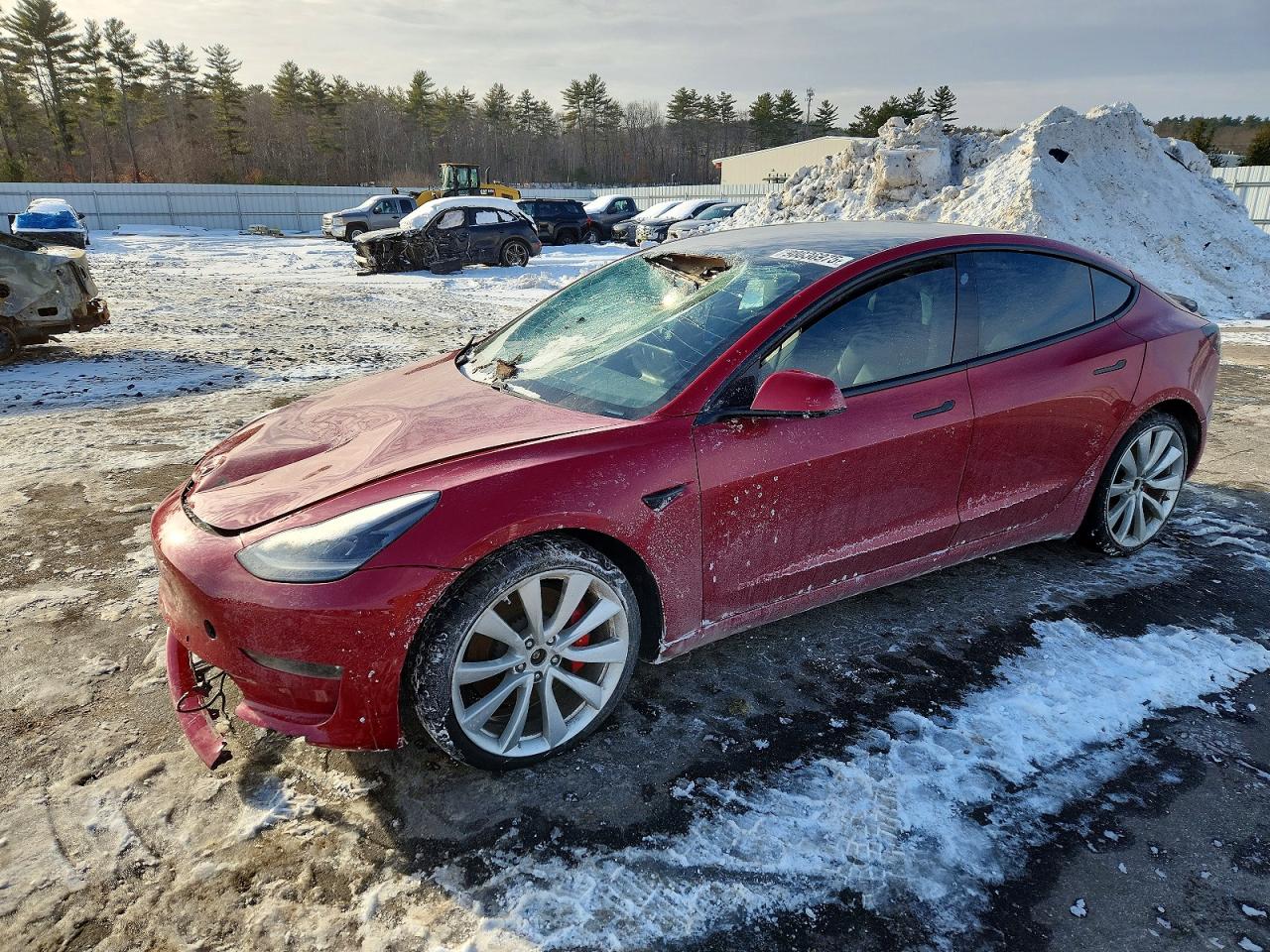 2019 TESLA MODEL 3