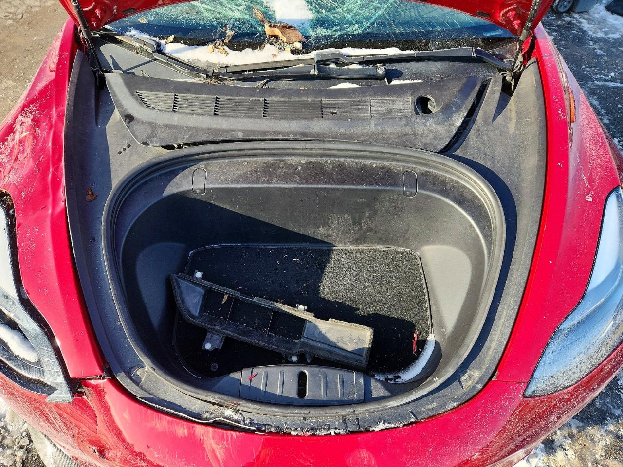2019 TESLA MODEL 3 photo 31